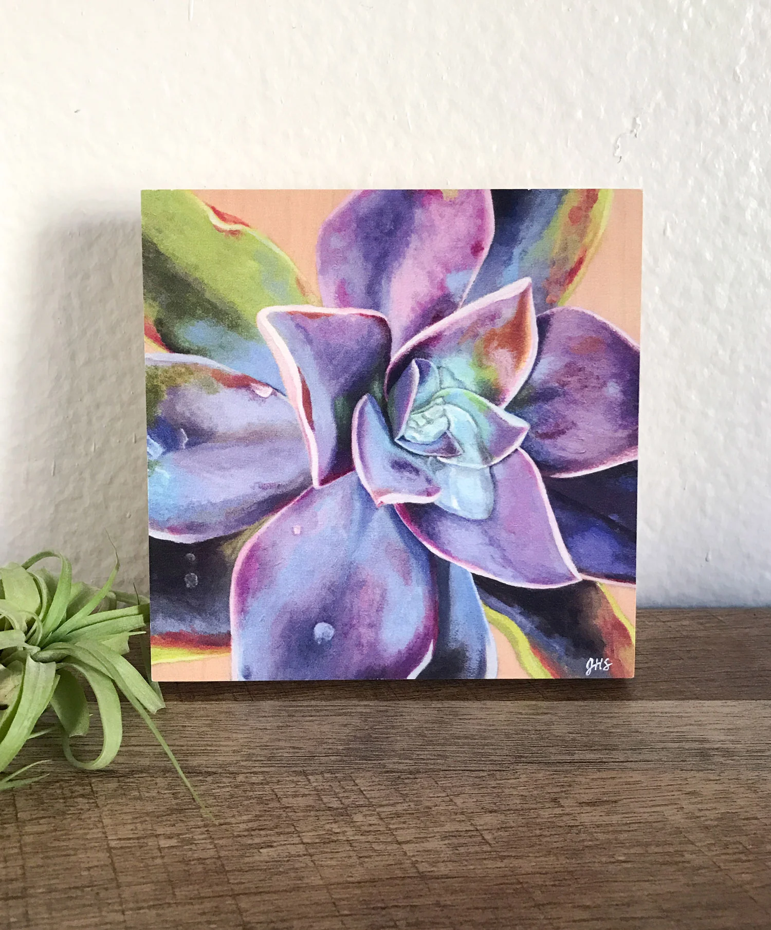 succulent-print-1-2.jpg