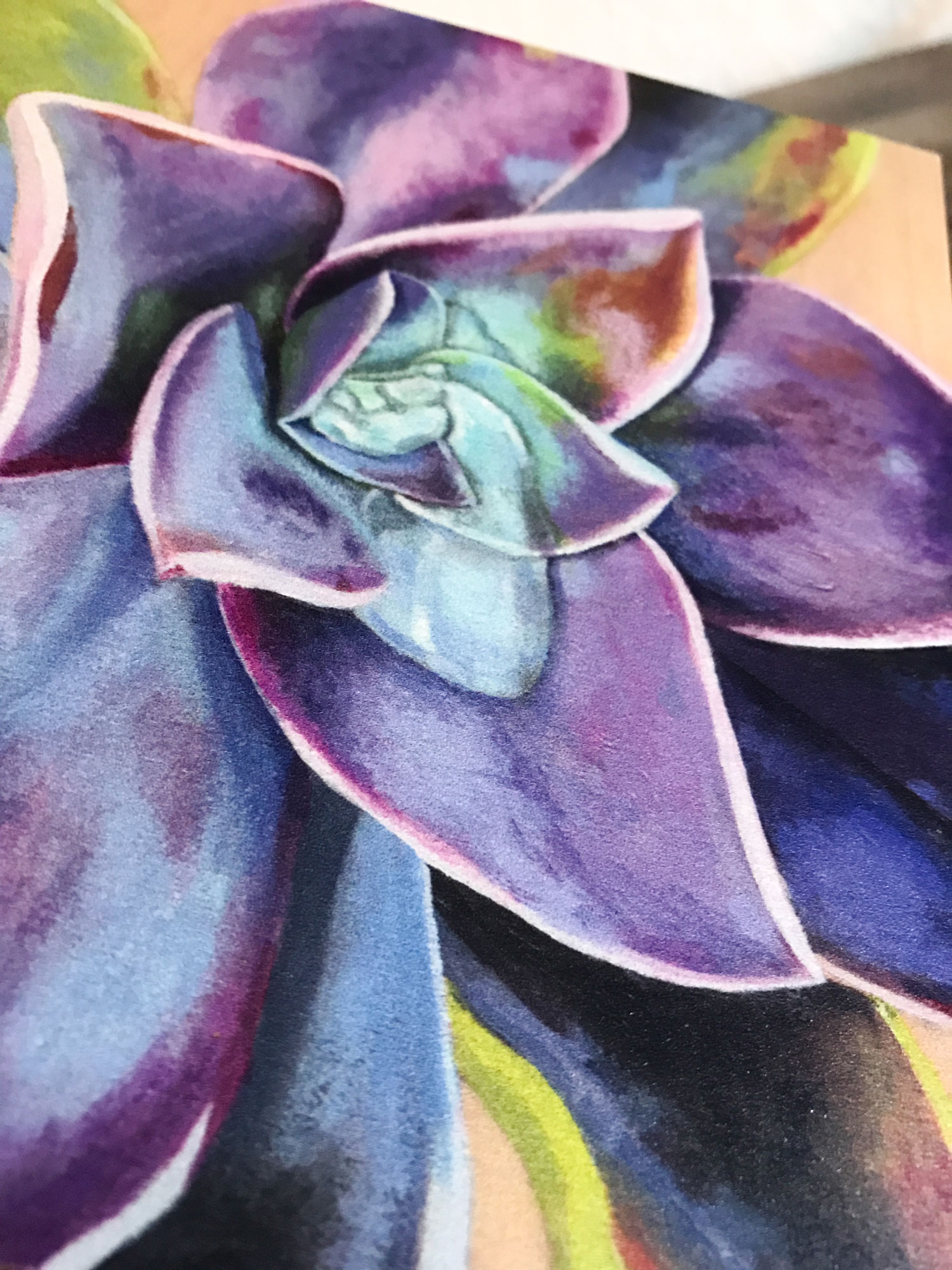succulent-print-detail.jpg