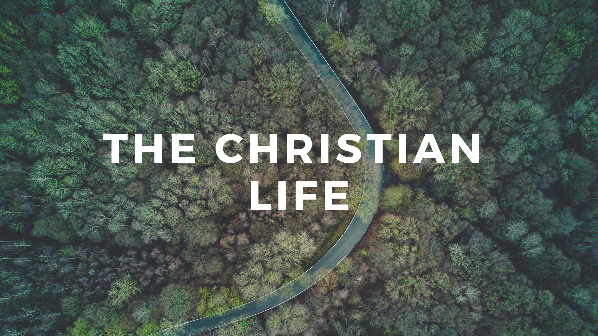 The Christian Life