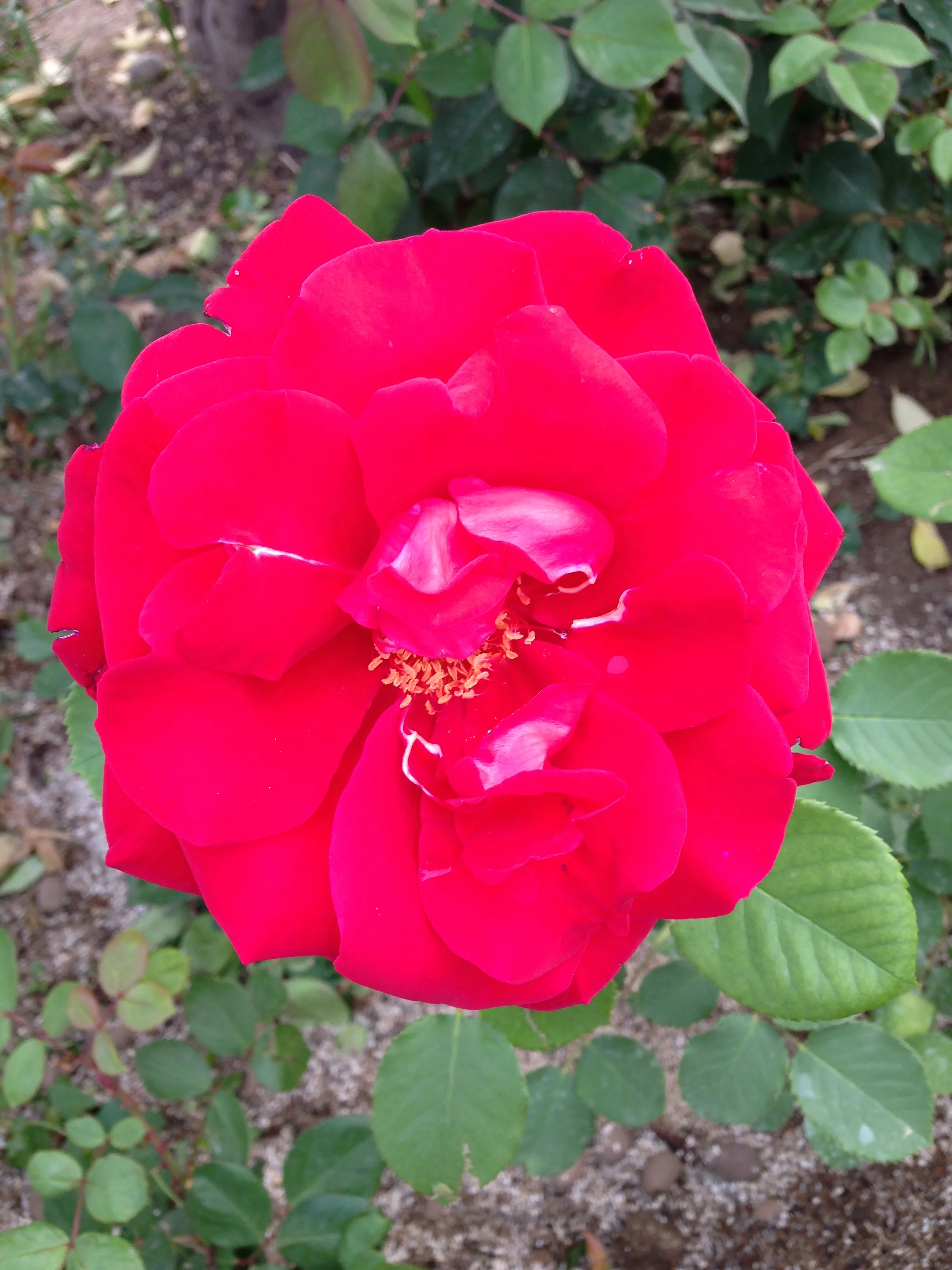 2014-04-17 14.55.44.jpg