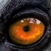 Lemur Eyes Teaser Bilboard - 1.jpg