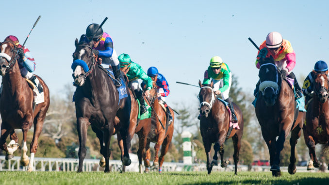  Matt Wooley/equisport photos