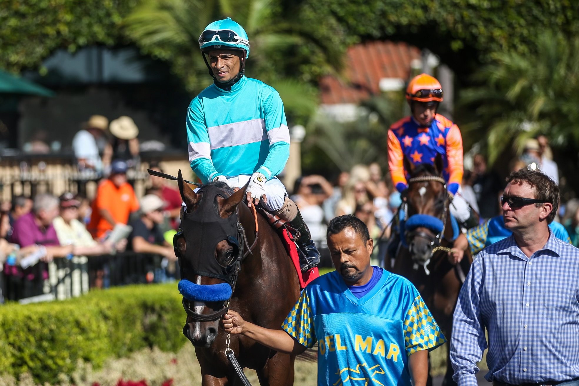 Rothschild In The Paddock Before His Maiden Victory at Del Mar on August 25th