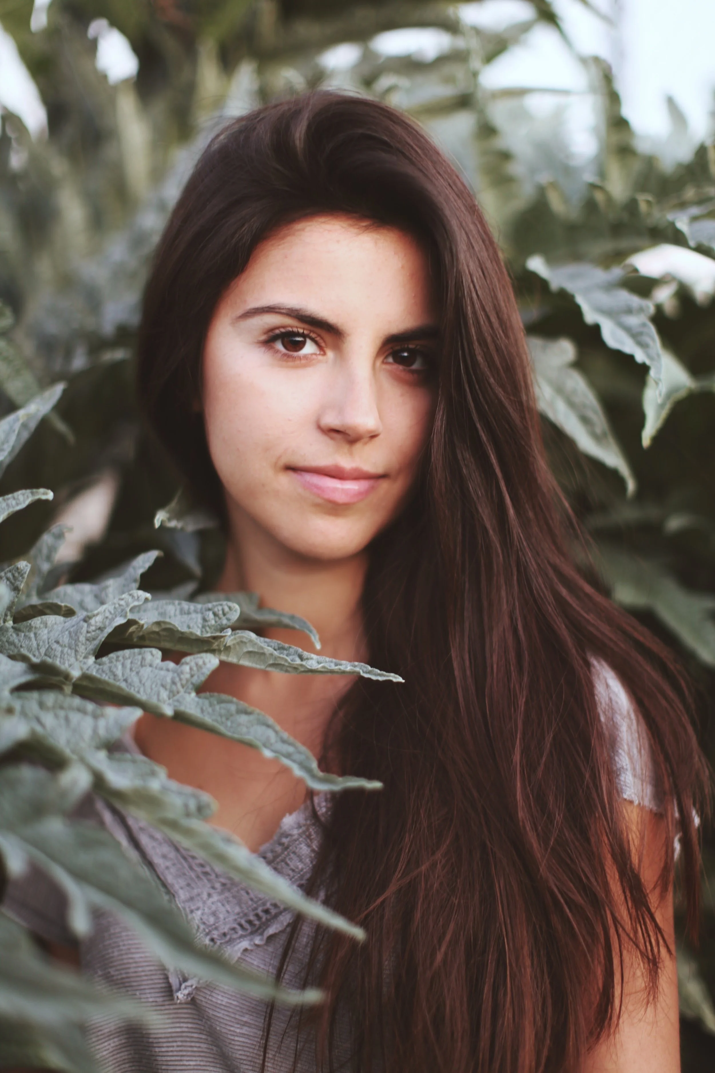 Green dreams