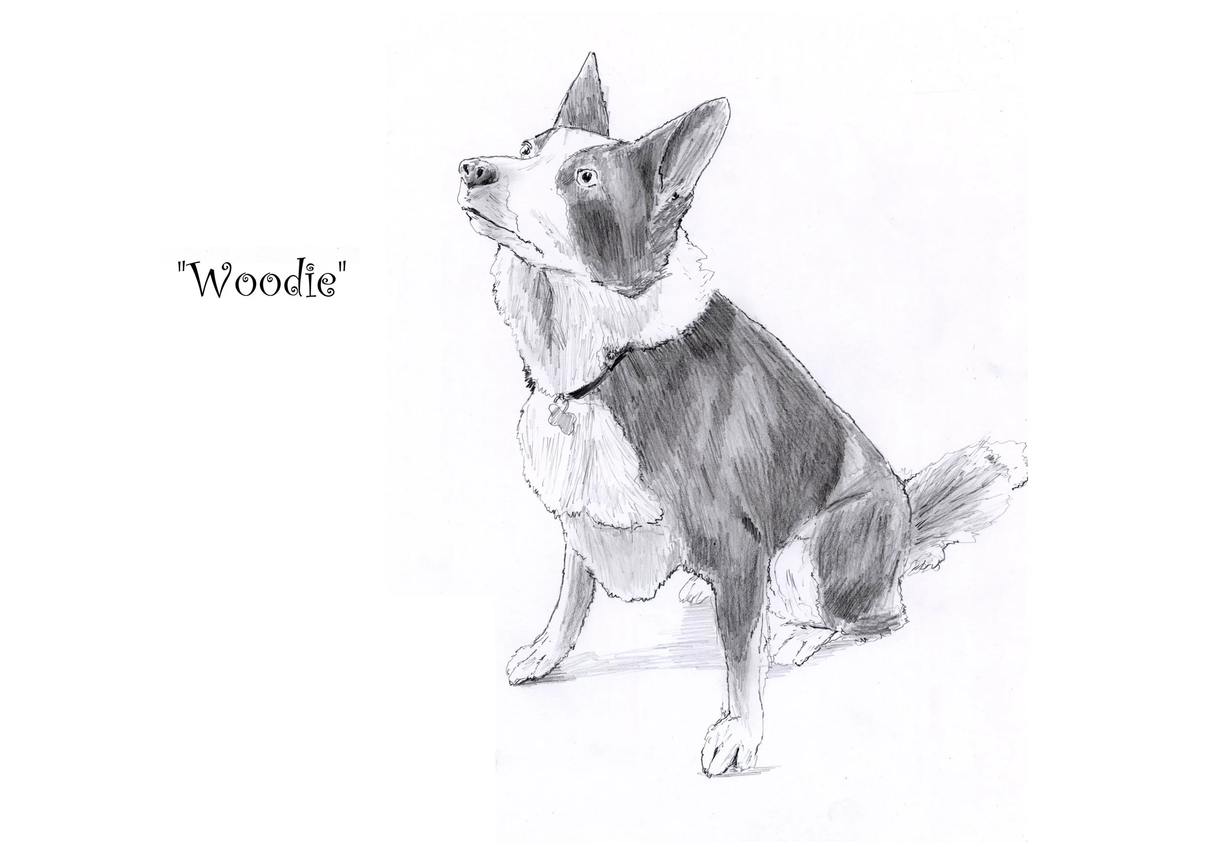 Woodie landscape.jpg