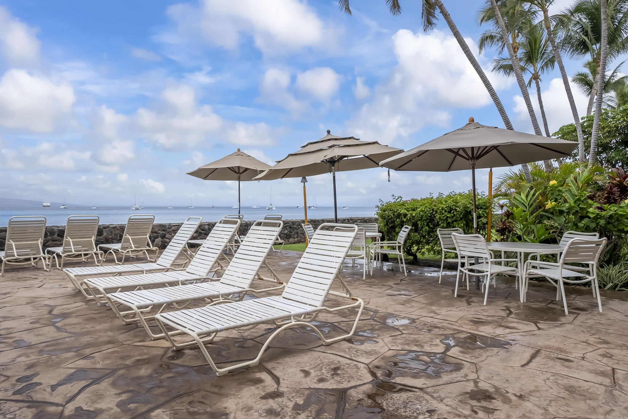 Pool loungers umbrellas.jpg