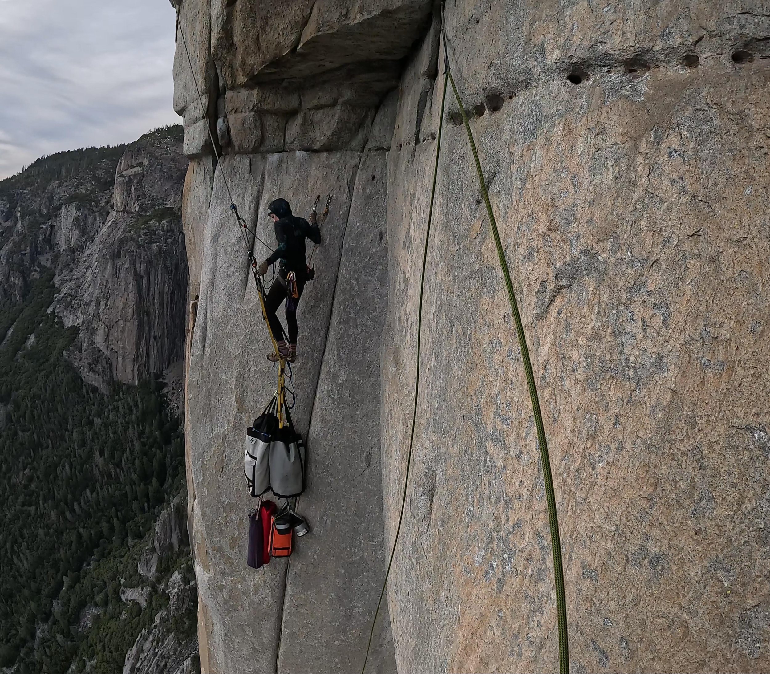 EDITION 41 - JANUARY 15, 2026 