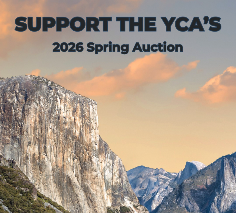 EDITION 51 - APRIL 3, 2026 