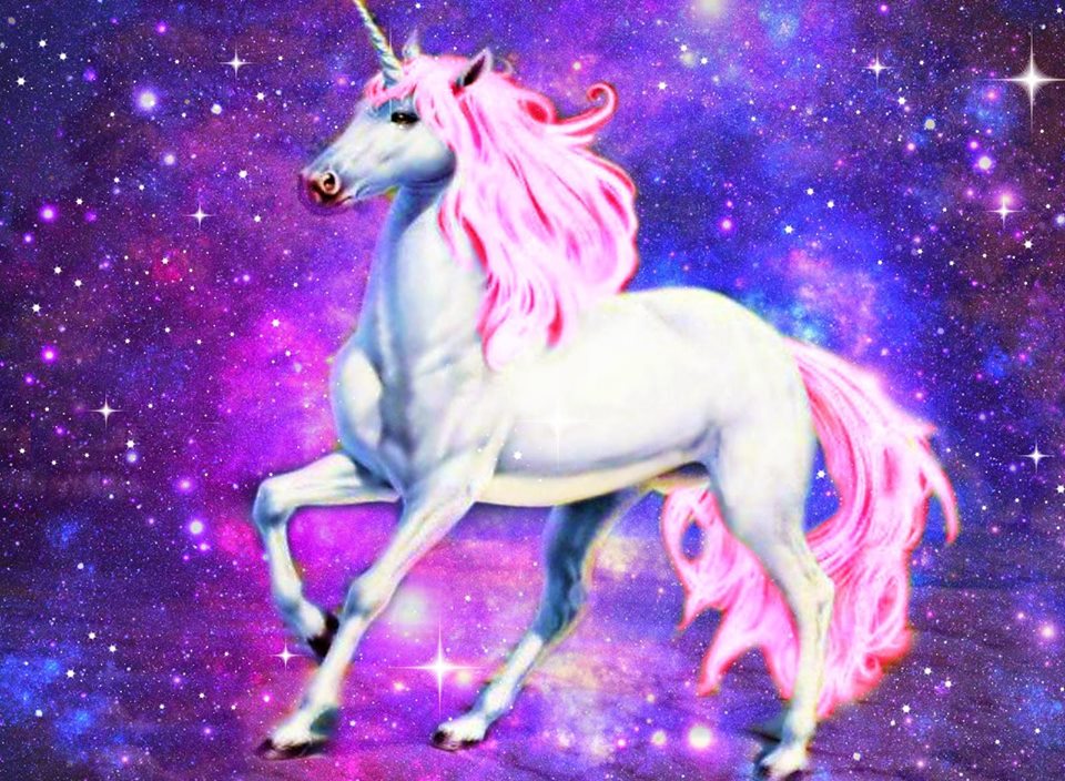Magical Unicorn Fashion Show — Super Wonder Gallery
