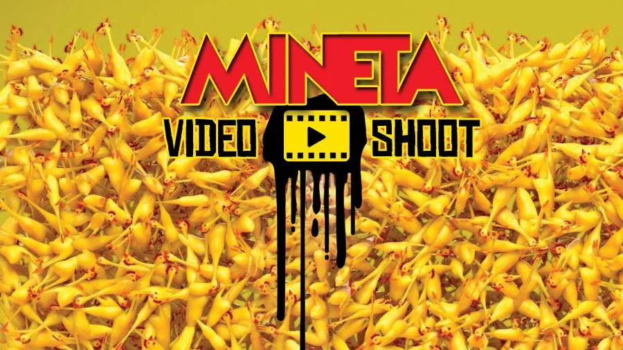 Mineta video shoot, rubber chickens for all!