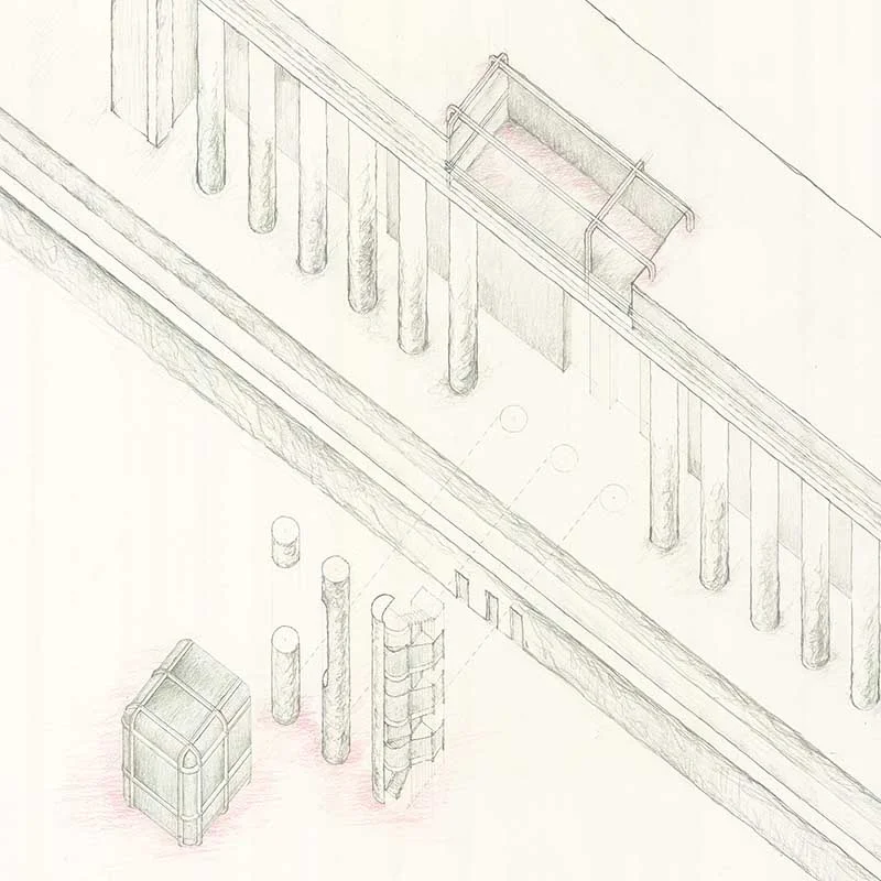 axo parasite web_small.jpg