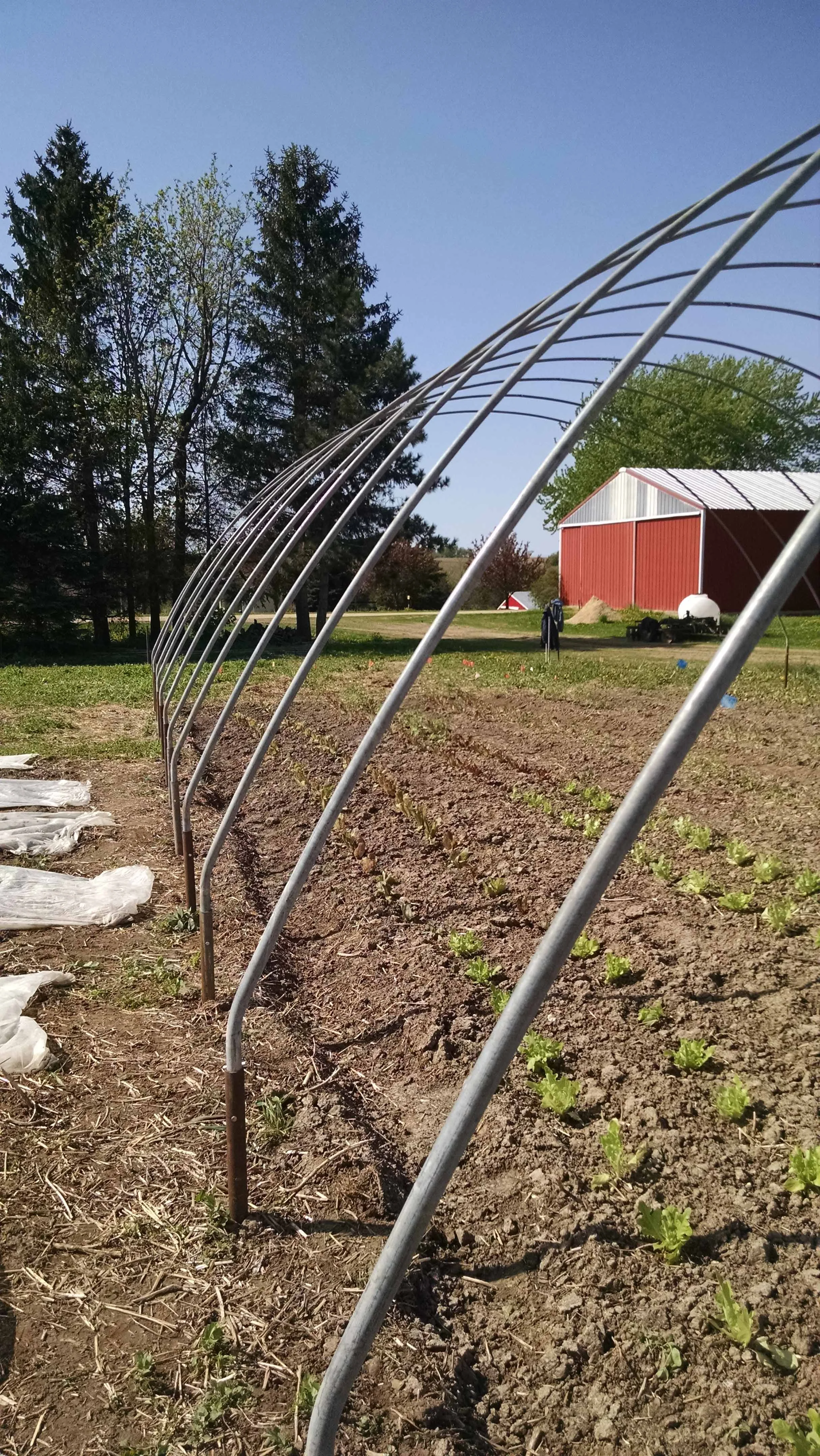 ERECTING THE HOOP HOUSE