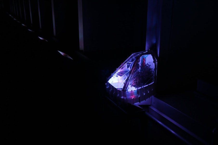 Planter In The Lights