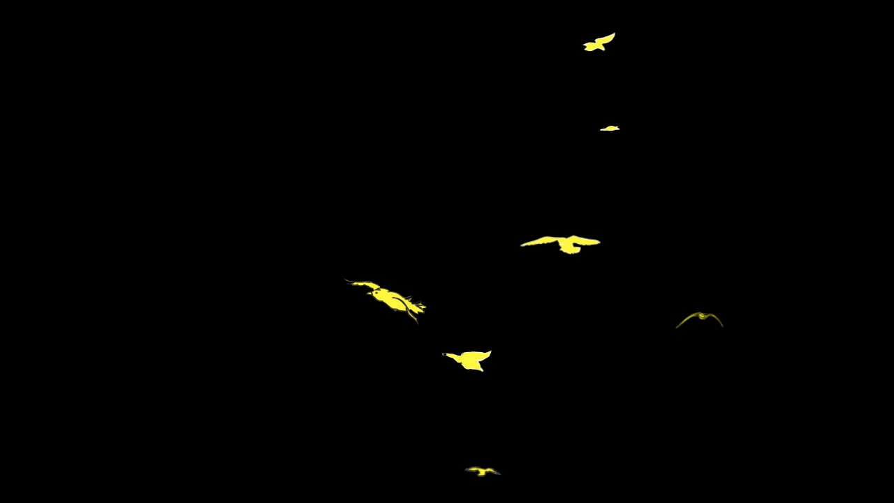 yellow.gif