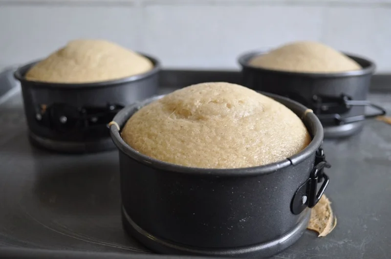  pssst I'm obsessed with these mini springform pans . 