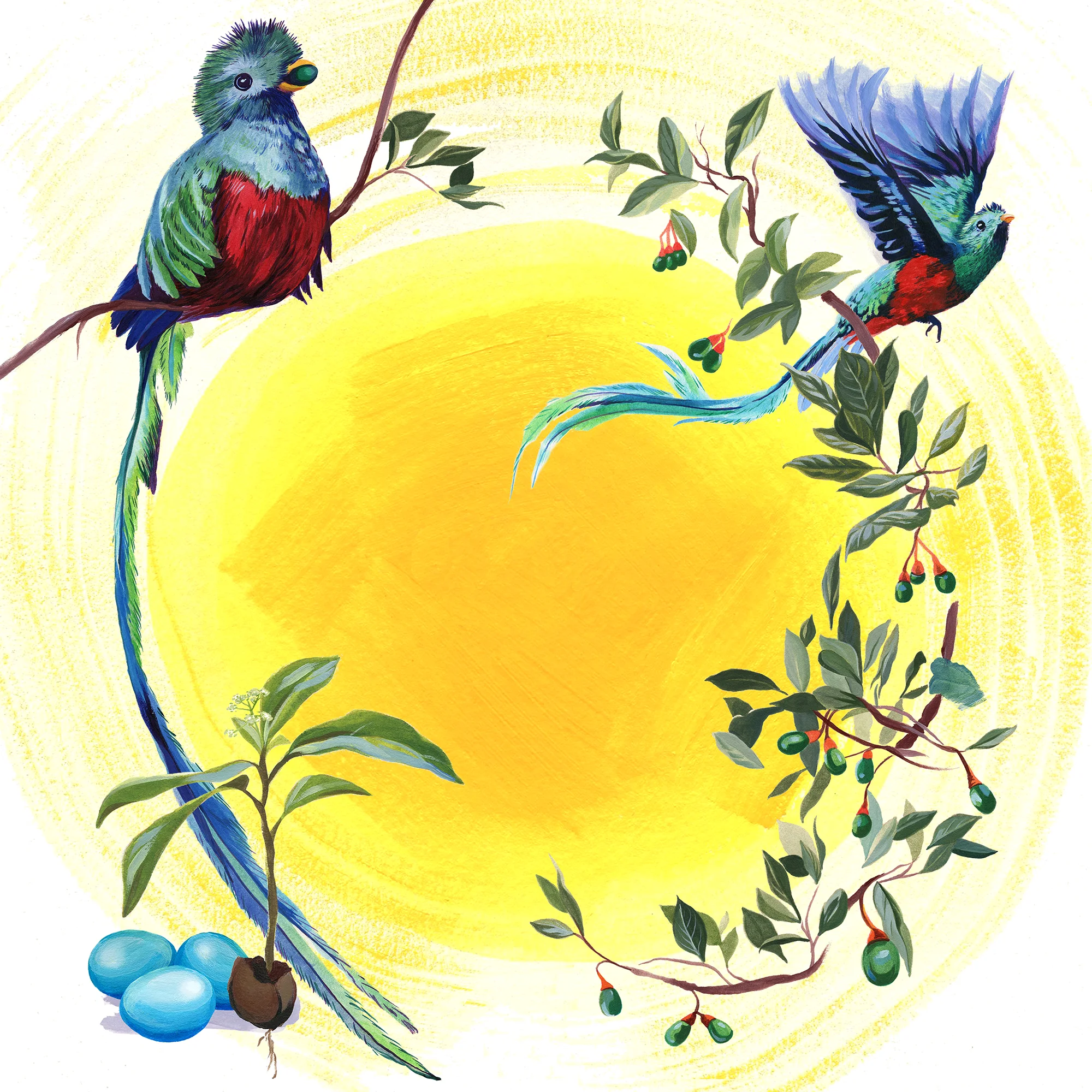 ResplendentQuetzal_72dpi.jpg