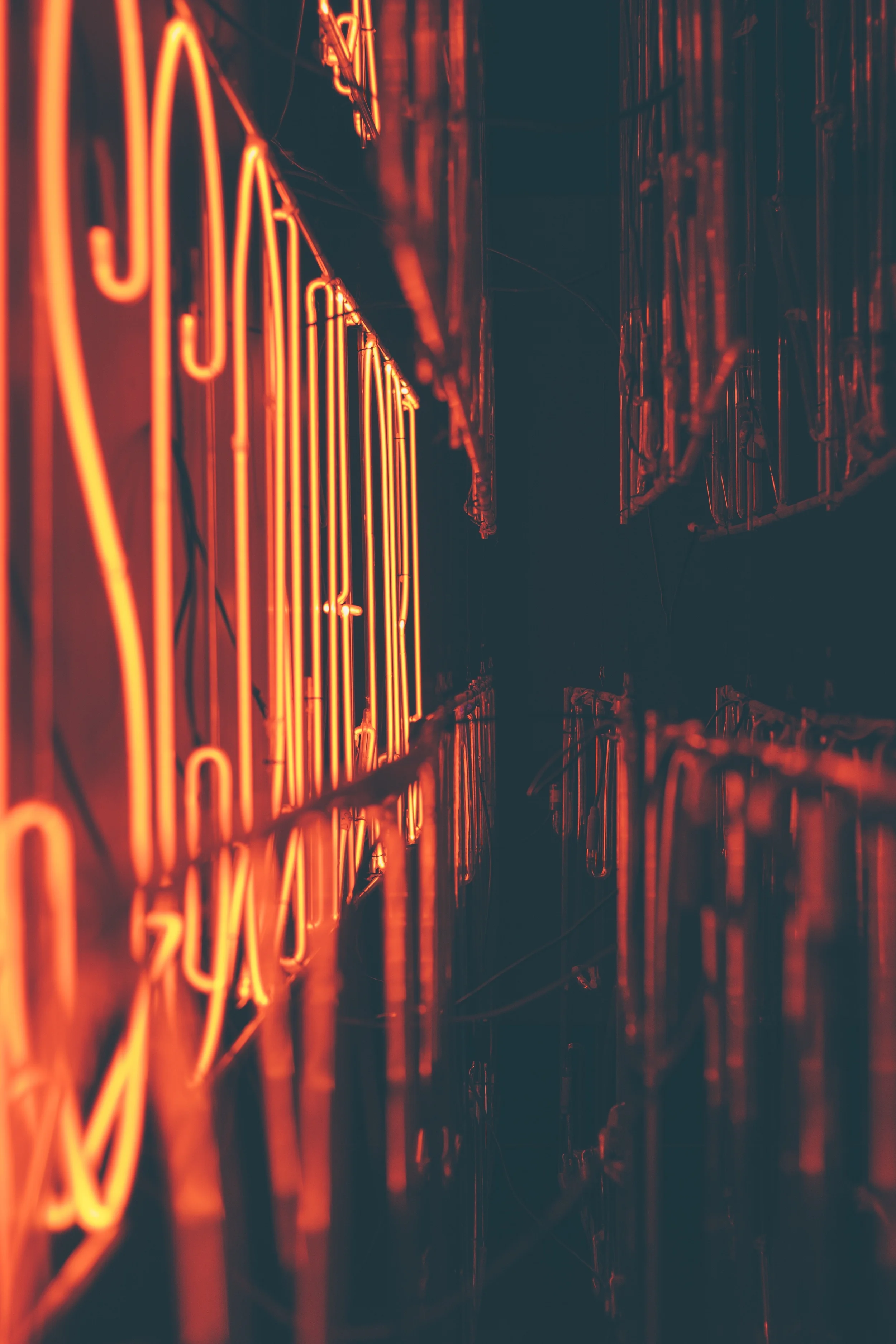 We Are Blood: A Brief History of Dreams