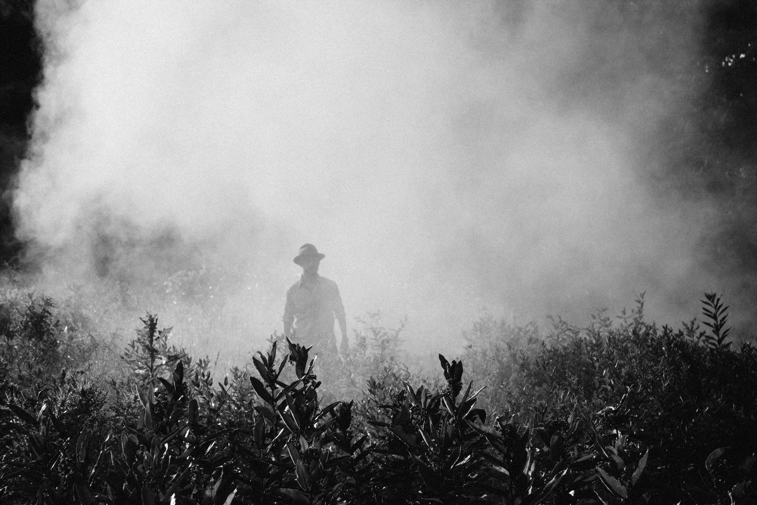 A Killing Dream: Wes Craven