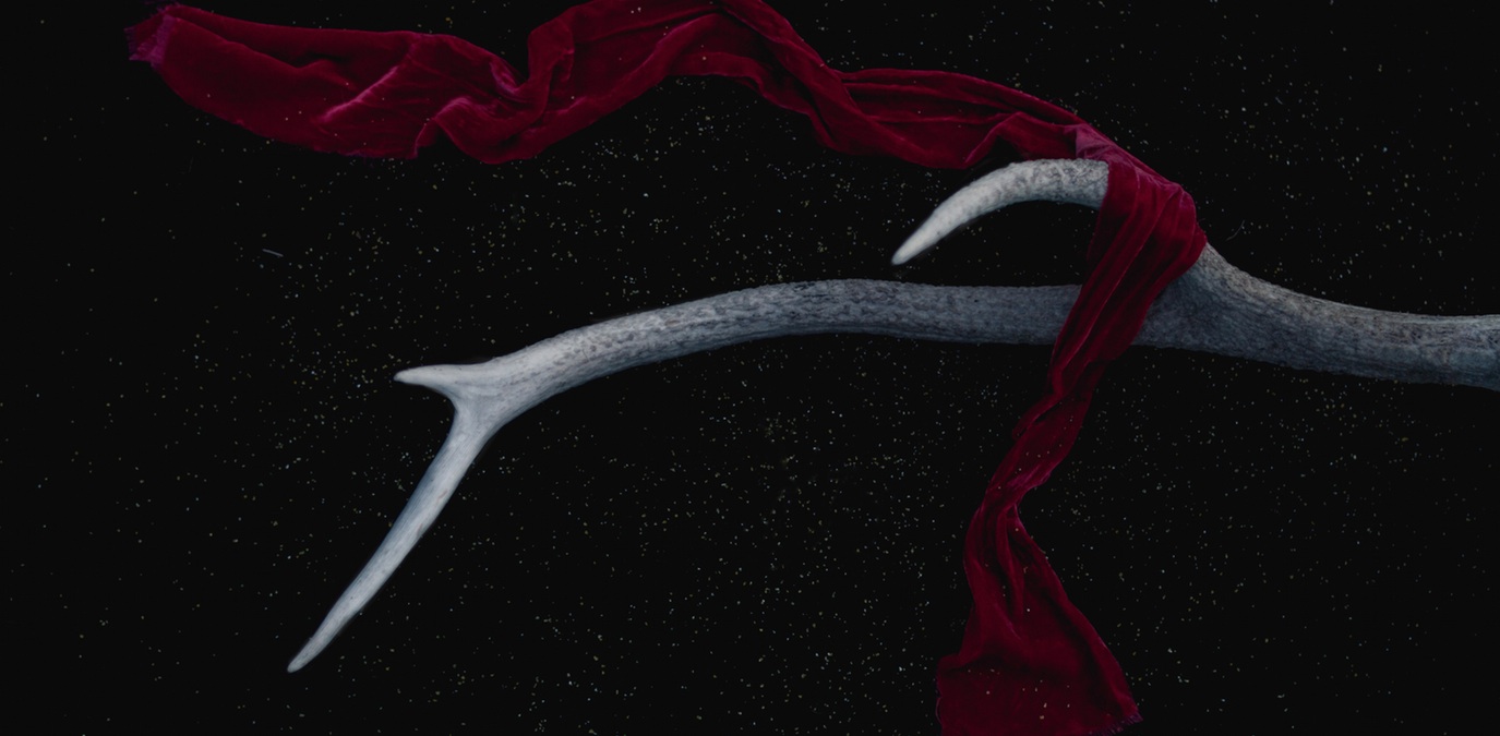 Sundance Film Festival 2016