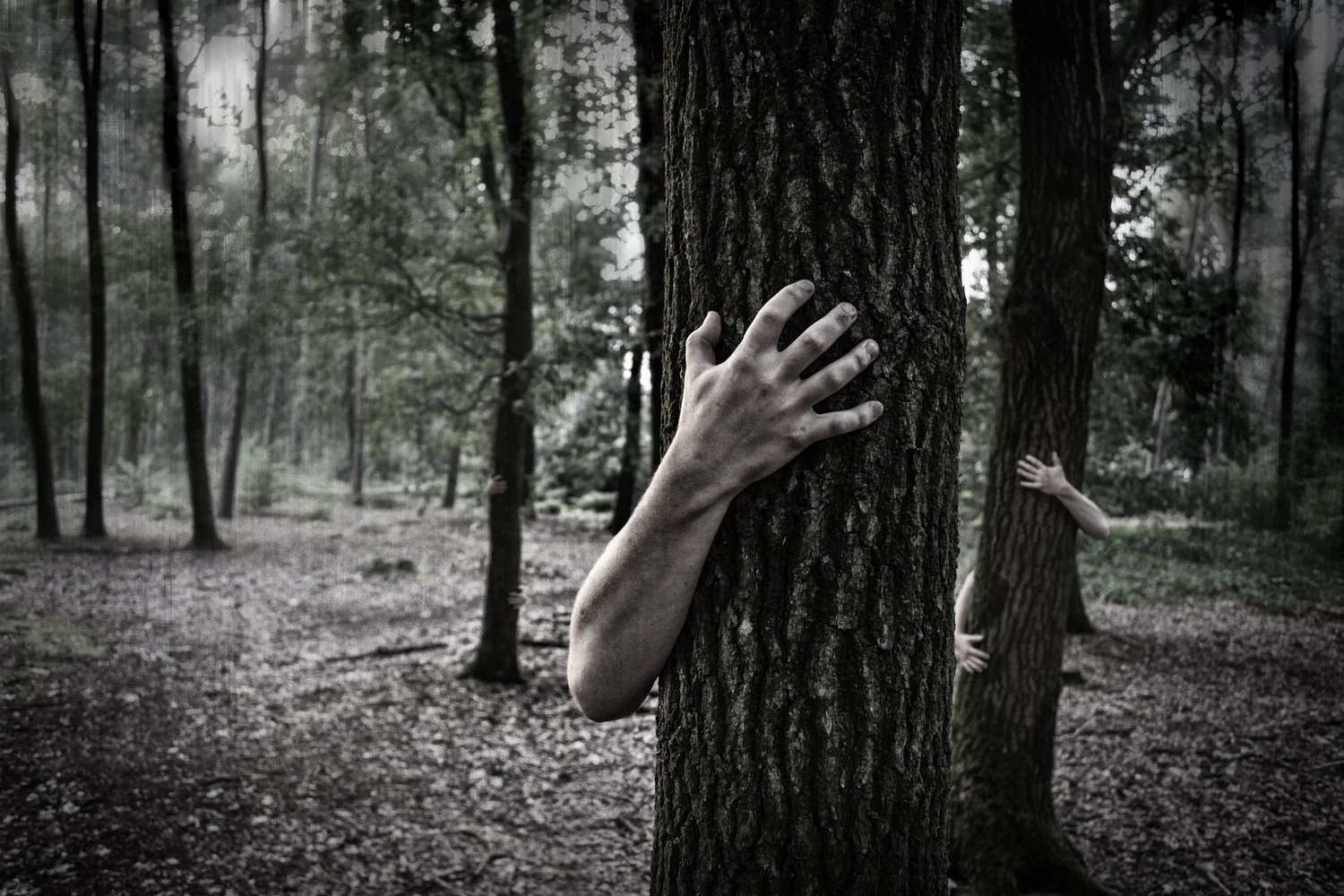 THE WALKING DEAD episode artwork