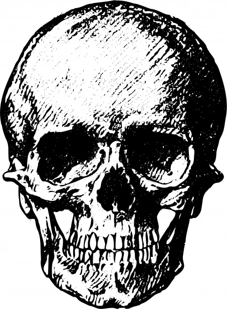 skull.jpg