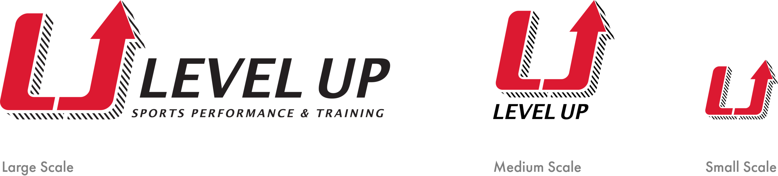 Logo Variations.png