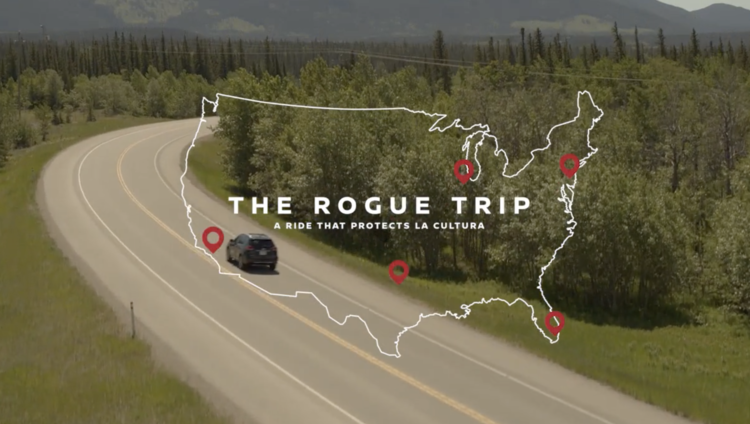 THE ROGUE TRIP