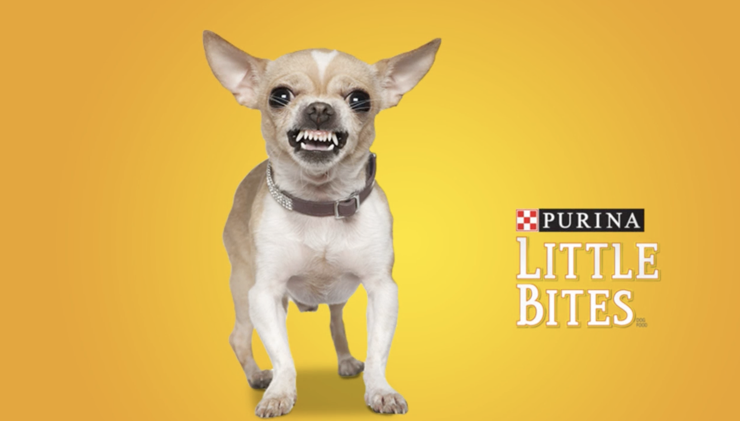 little bites