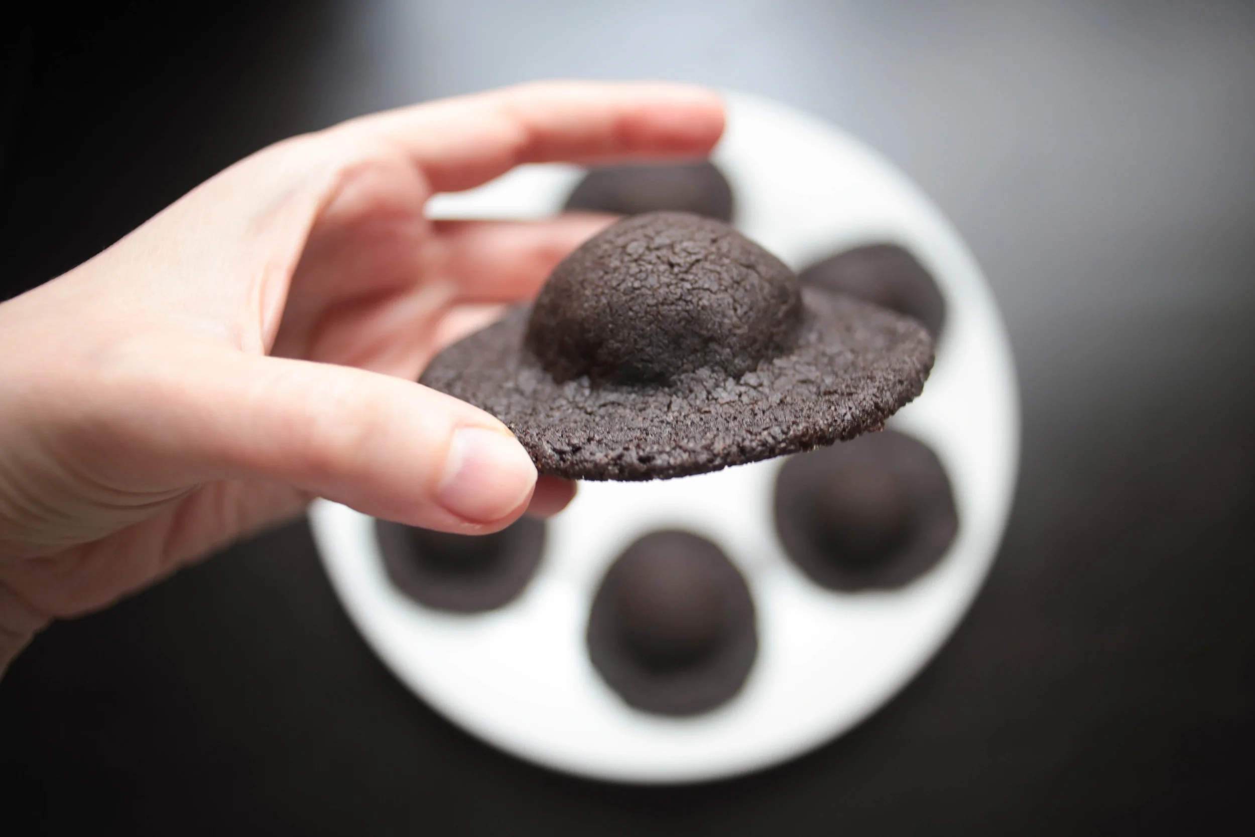 Recipe: X-Files Chocolate Sunbutter UFO Cookies