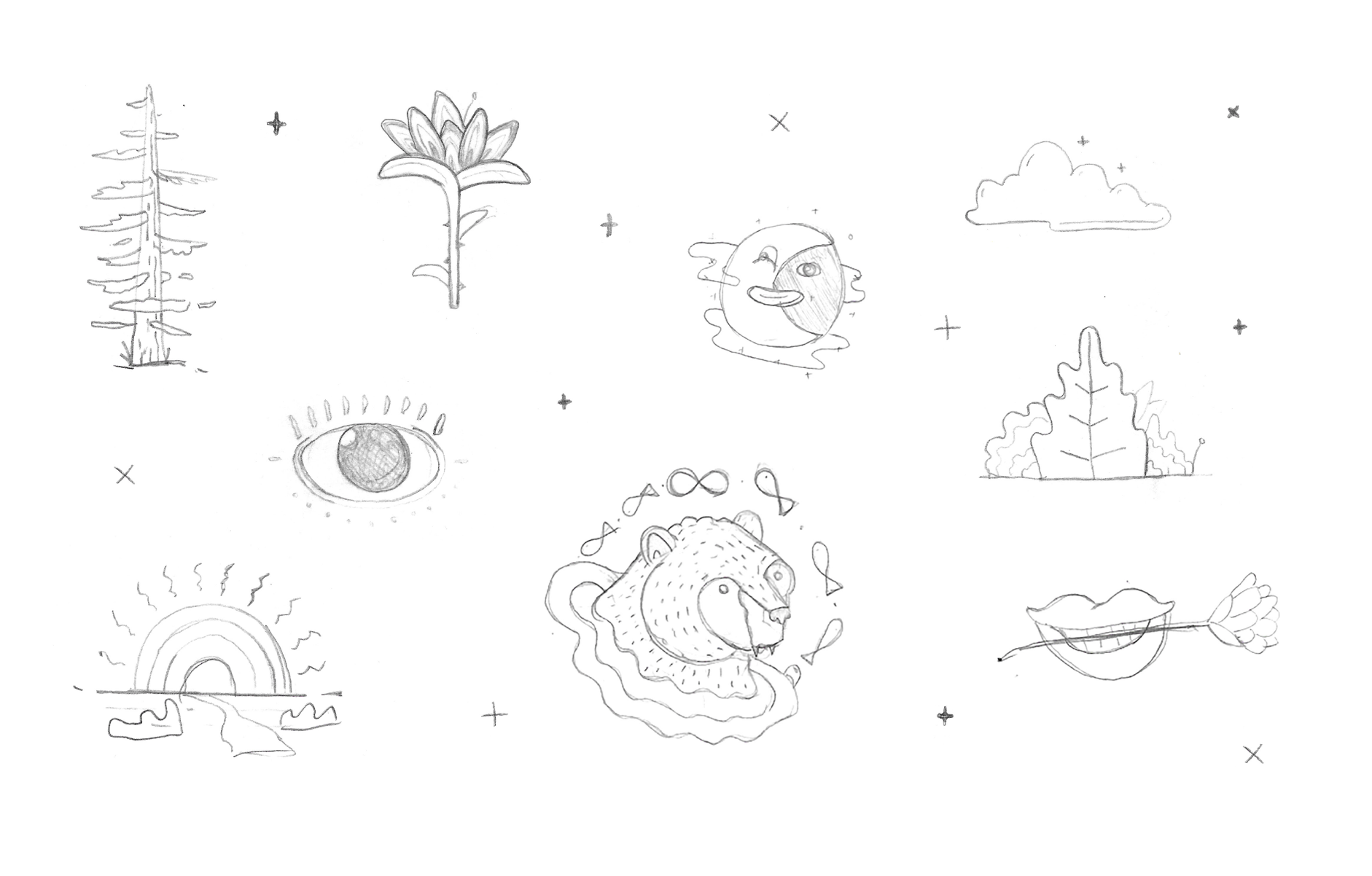 Screen Shot 2019-11-03 at 12.47.23 PM.png