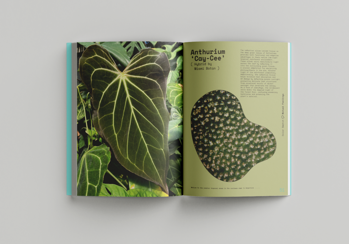 1_Screen Shot 2024-11-25 at 2.05.45 PM_.png