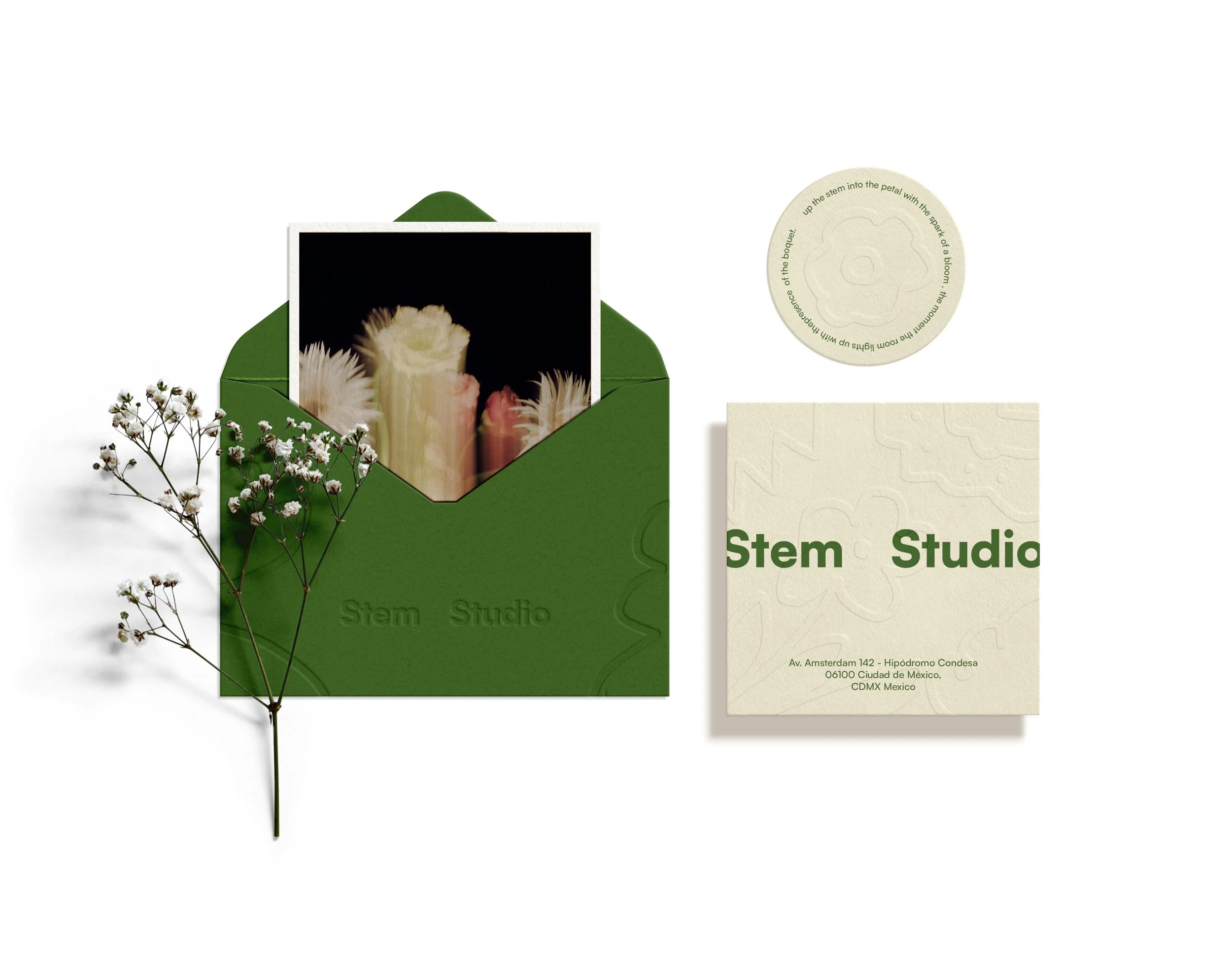 STEM - ENVELOPE.jpg