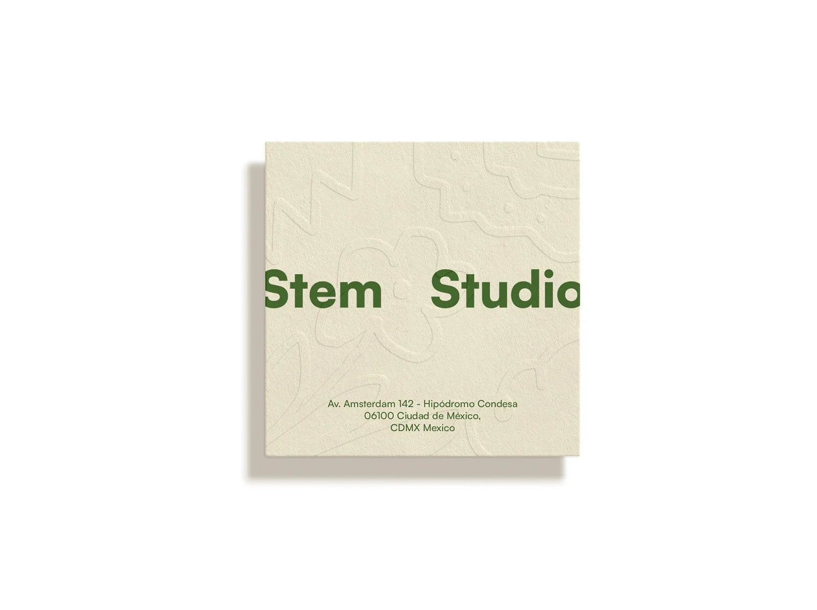 Stem-Web_cover.jpg