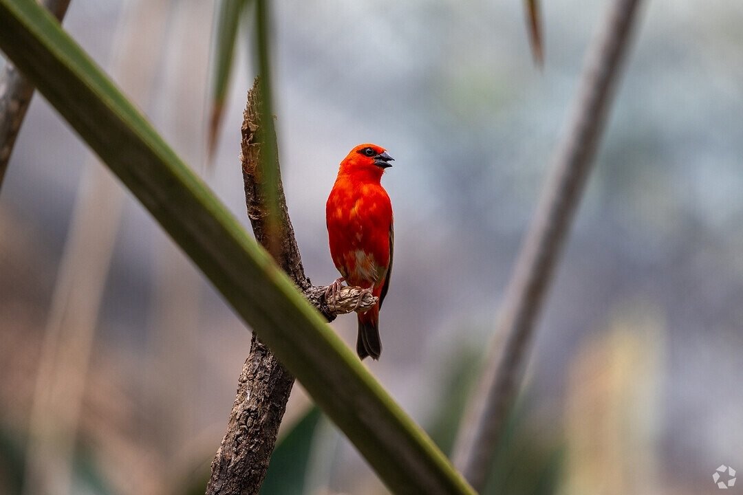 Looking great in red! Shot at The Bronx Zoo. Perfect pose🎈

Had the absolute pleasure of snapping some pics at the @bronxzoo to highlight the neighborhood features of the Bronx, Unionpoint, neighborhood. @homesdotcom @costarcareers #bronxzoo #animal