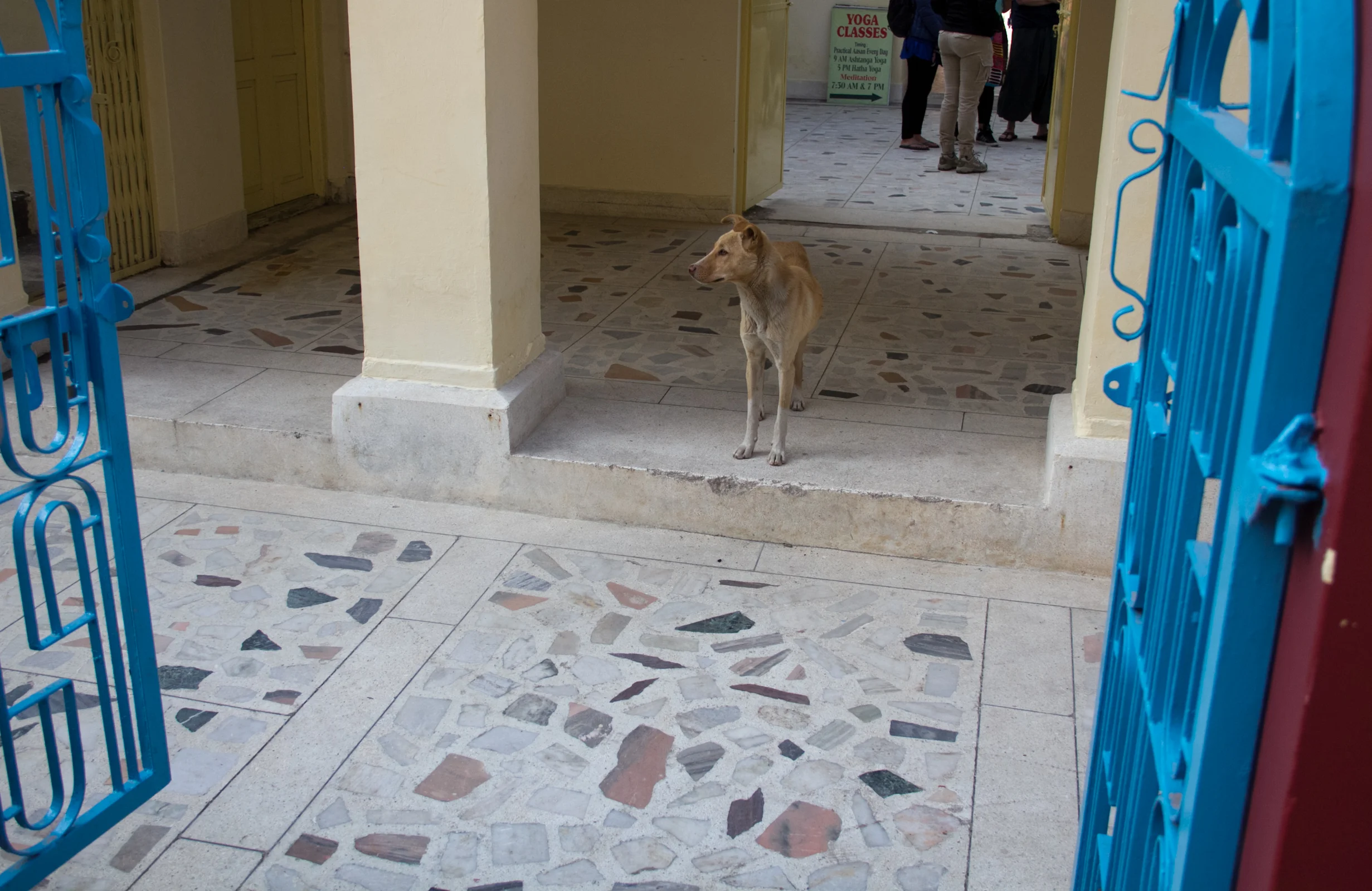 IMG_6542.jpg