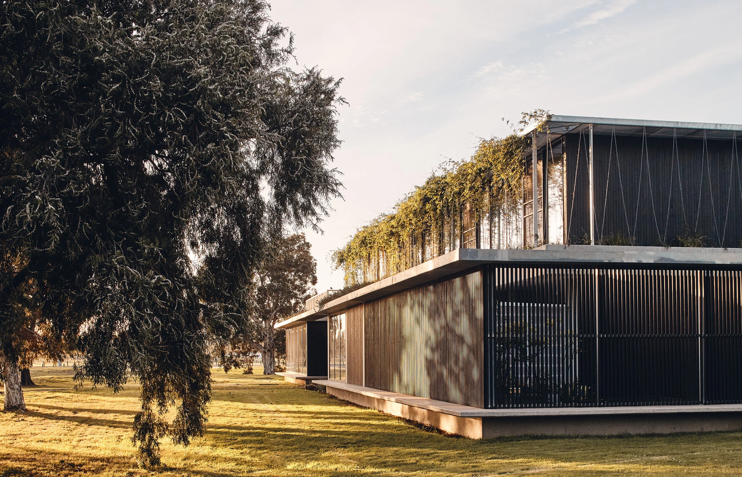 191223 Parks Victoria 1476.jpg