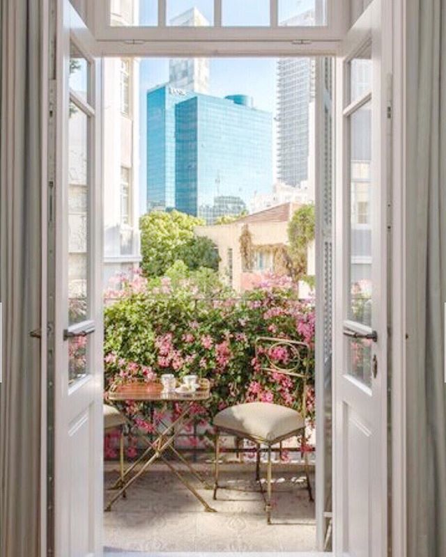 beautiful bauhaus views on rothschild boulevard 🙌  #fromwhereistand #bouganvillea
photo by @vogueliving