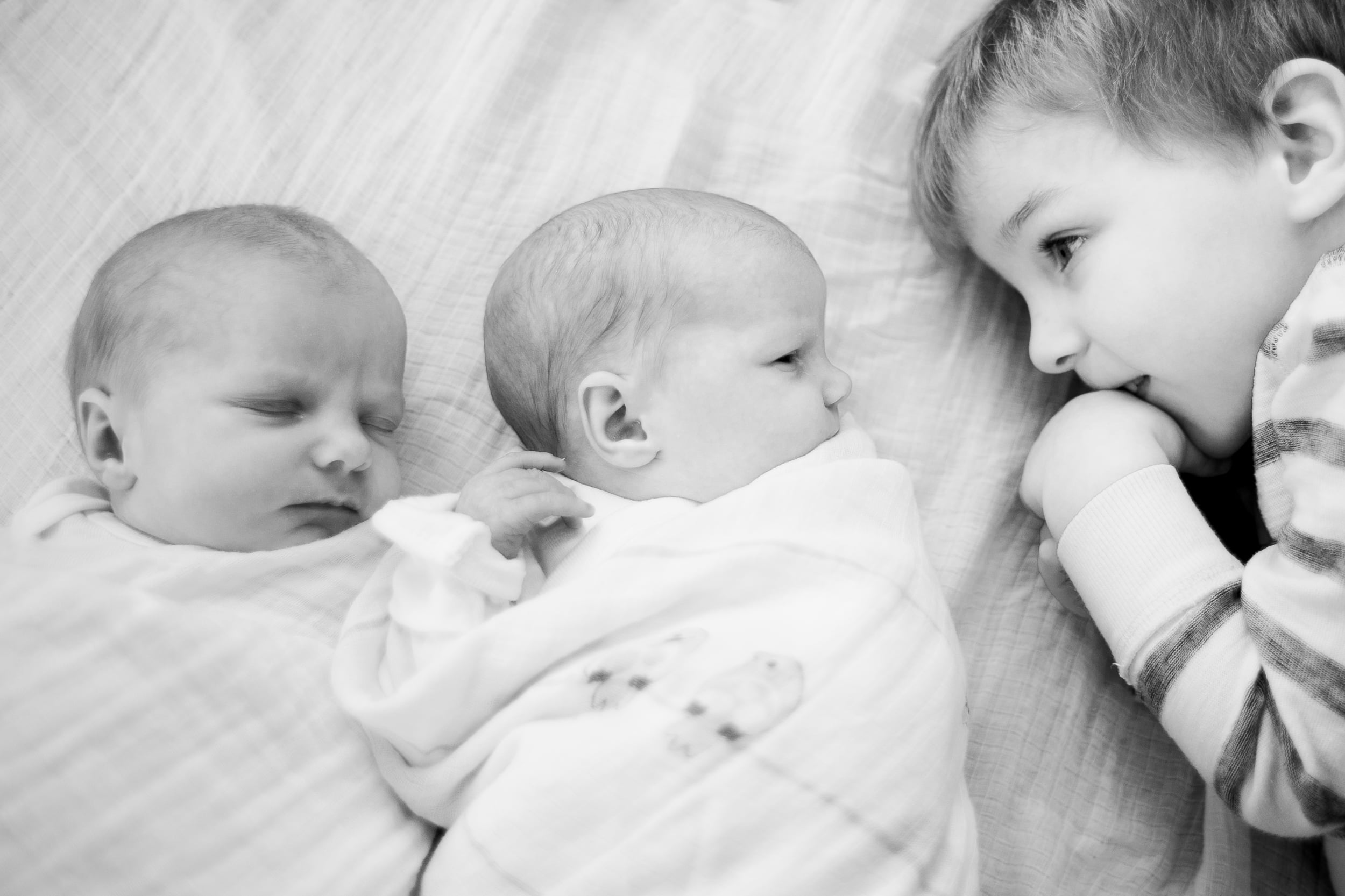 vanessa wyler lifestyle twin newborn photography pewaukee wisconsin