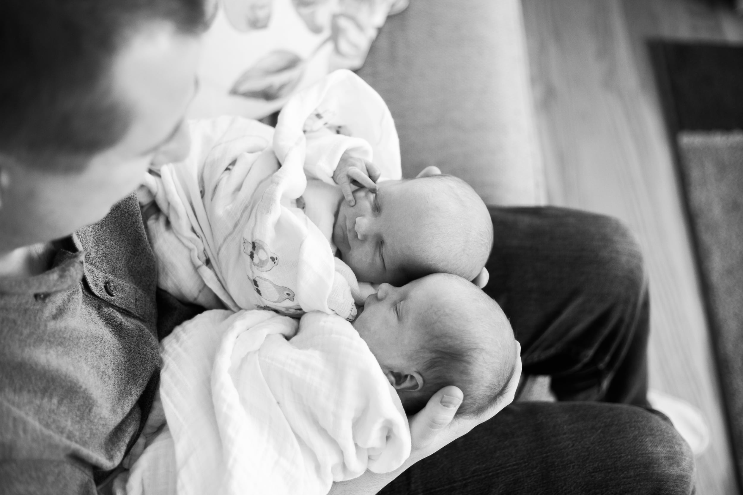 vanessa wyler lifestyle twin newborn photography pewaukee wisconsin