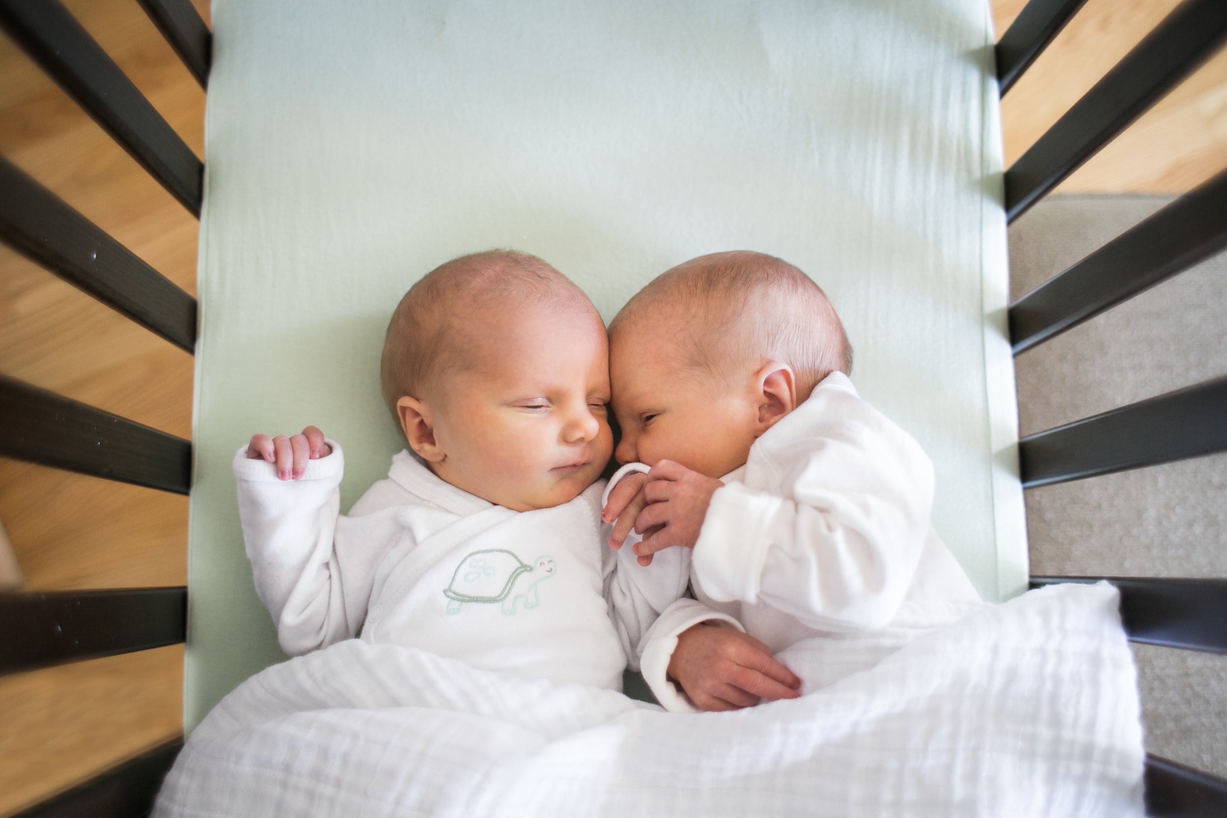 vanessa wyler lifestyle twin newborn photography pewaukee wisconsin