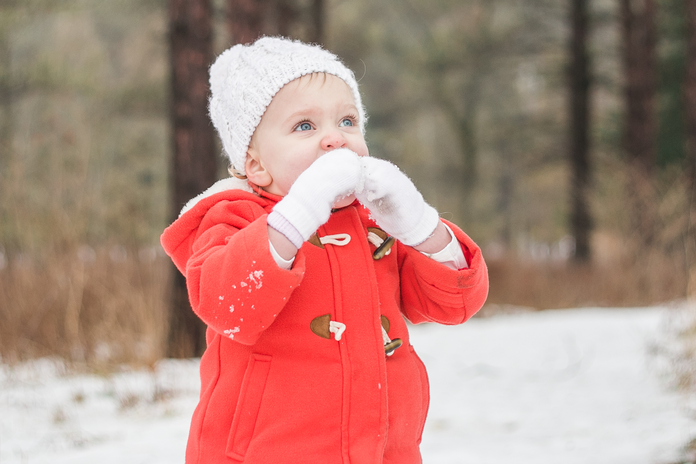 vanessa wyler lifestyle family photographer pewaukee