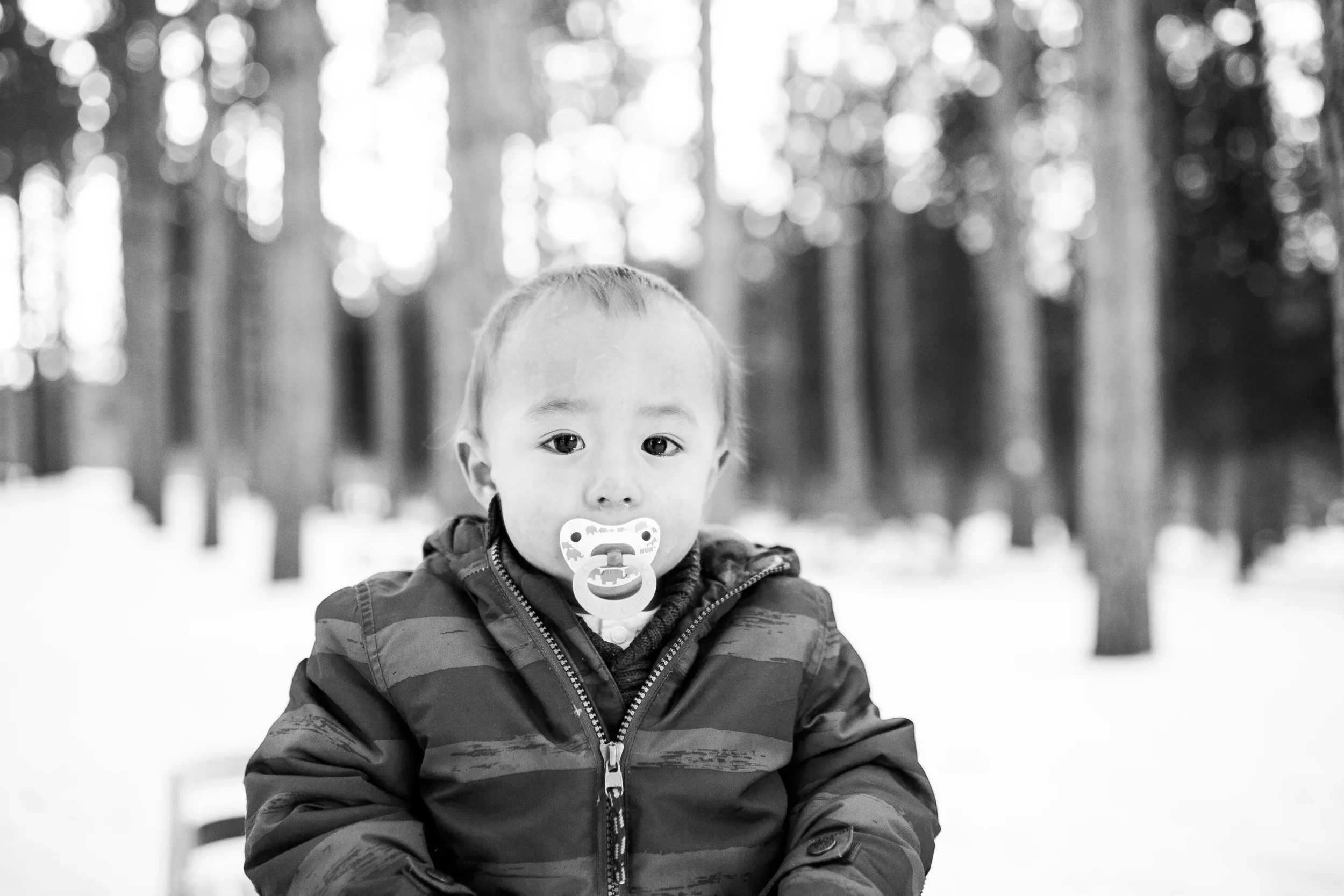 winter family photography session vanessa wyler photography pewaukee waukesha