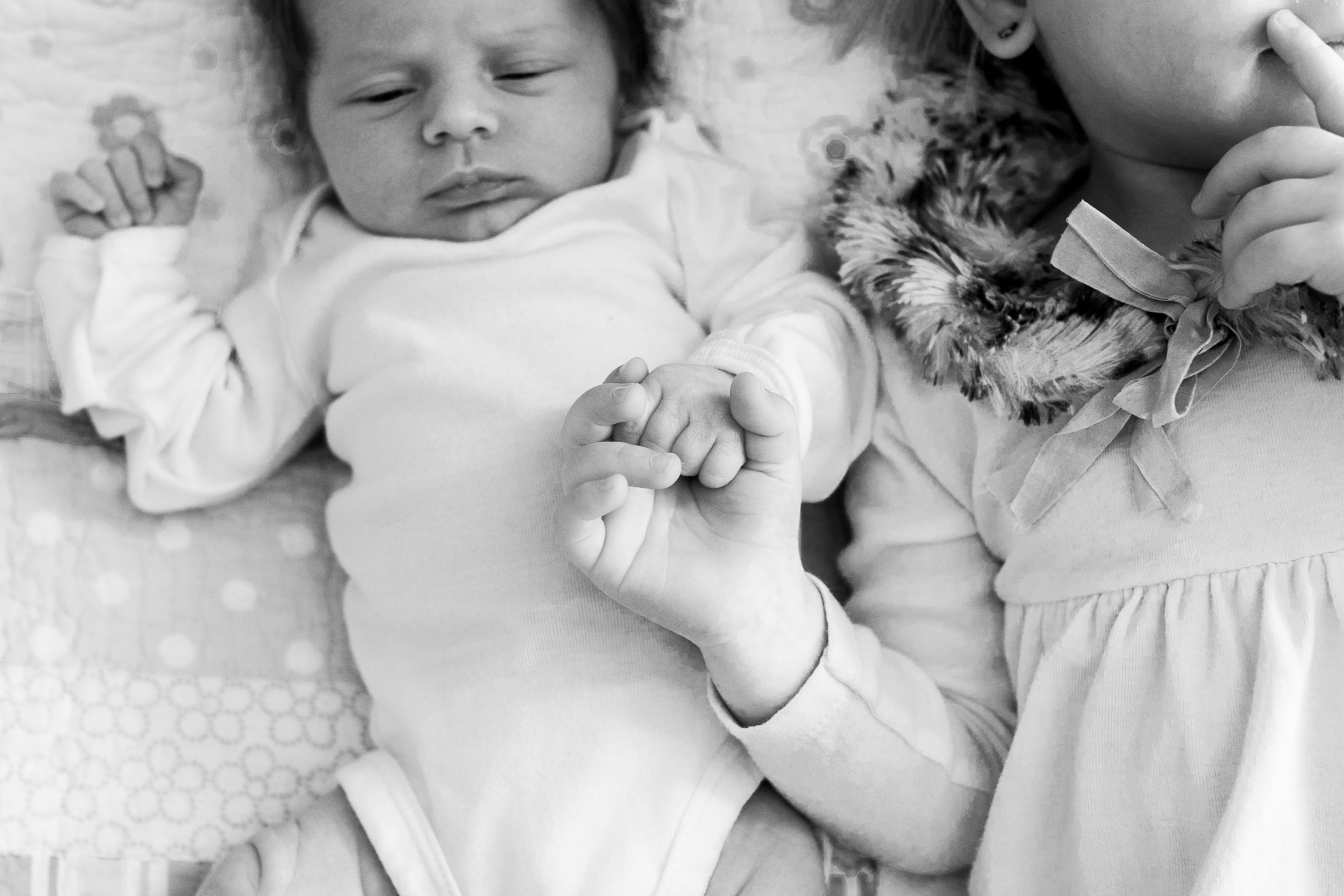 vanessa wyler pewaukee newborn photographer
