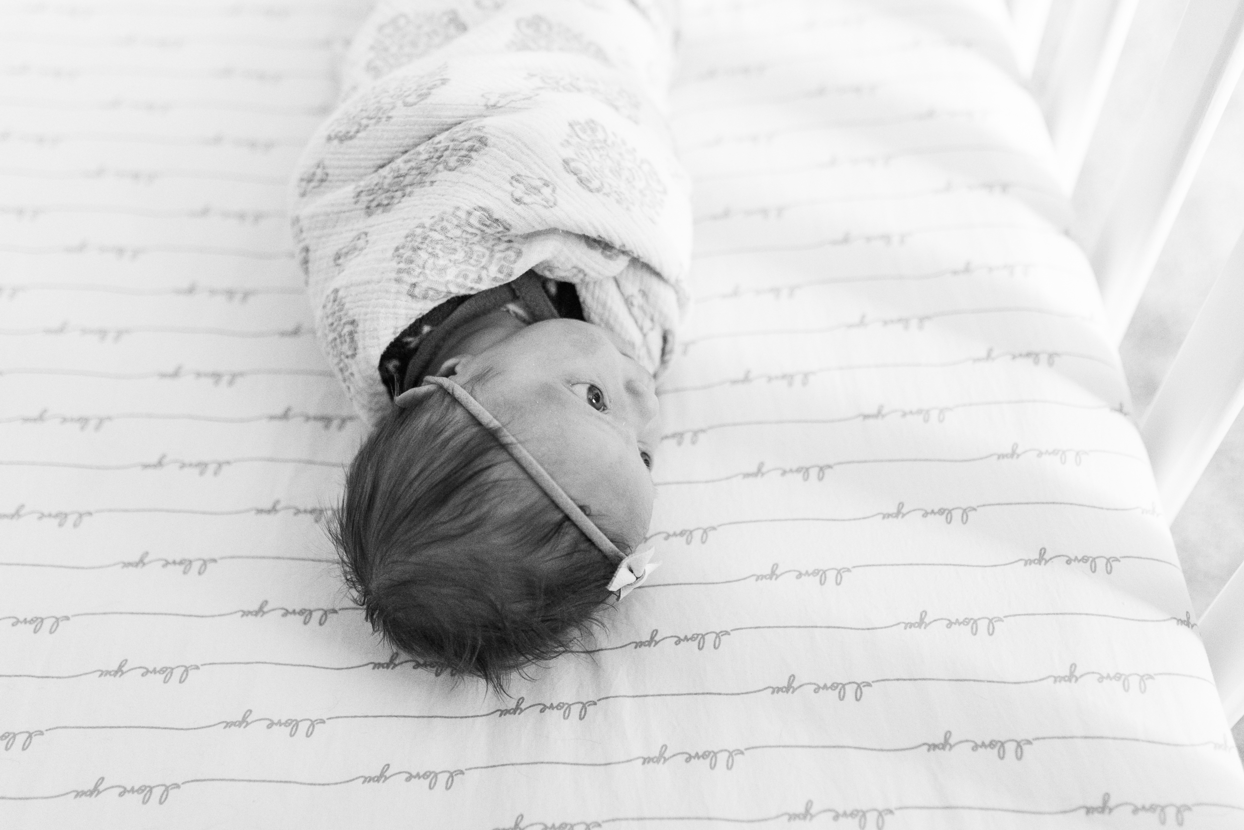 vanessa wyler newborn photograph pewaukee