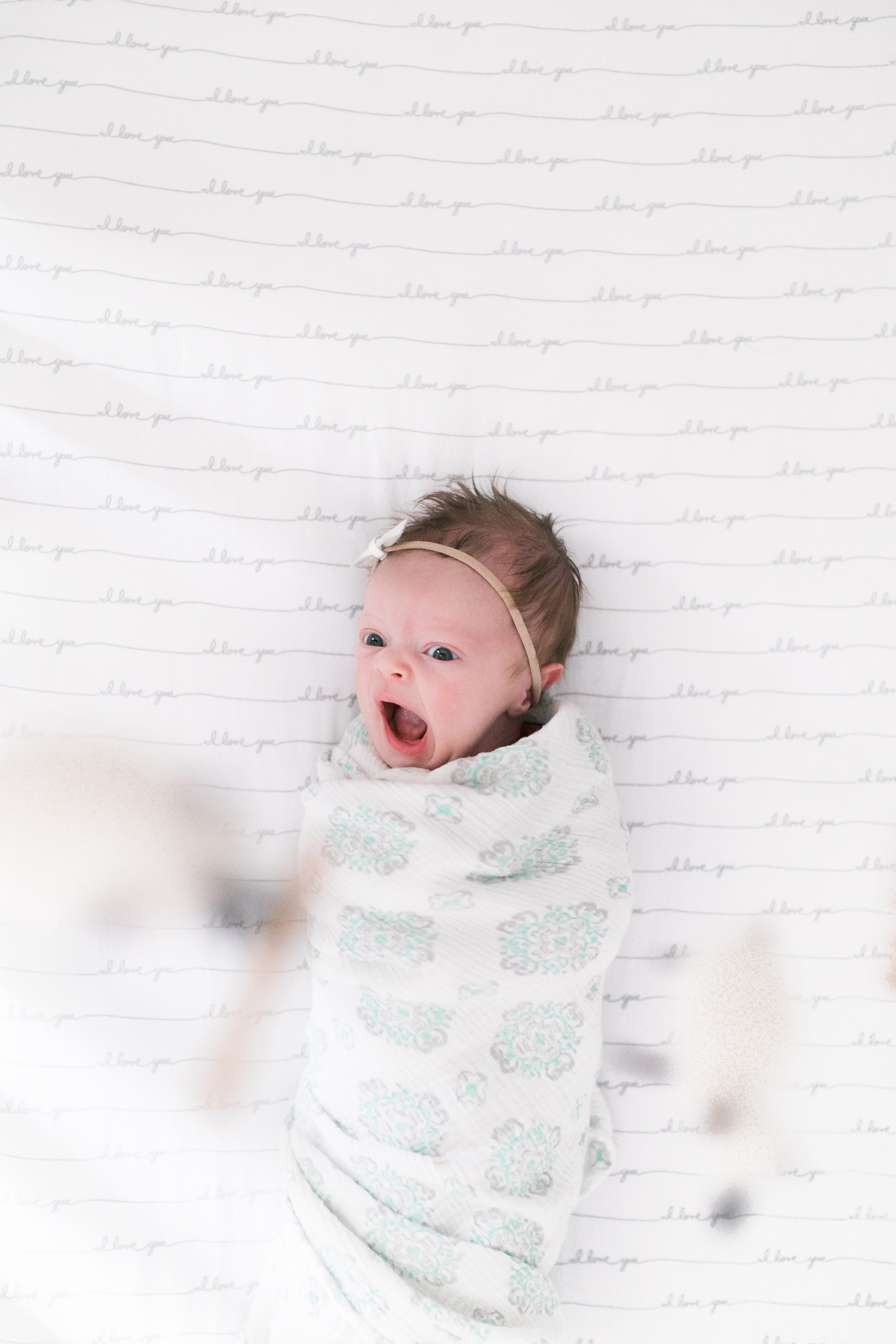 vanessa wyler newborn photograph pewaukee