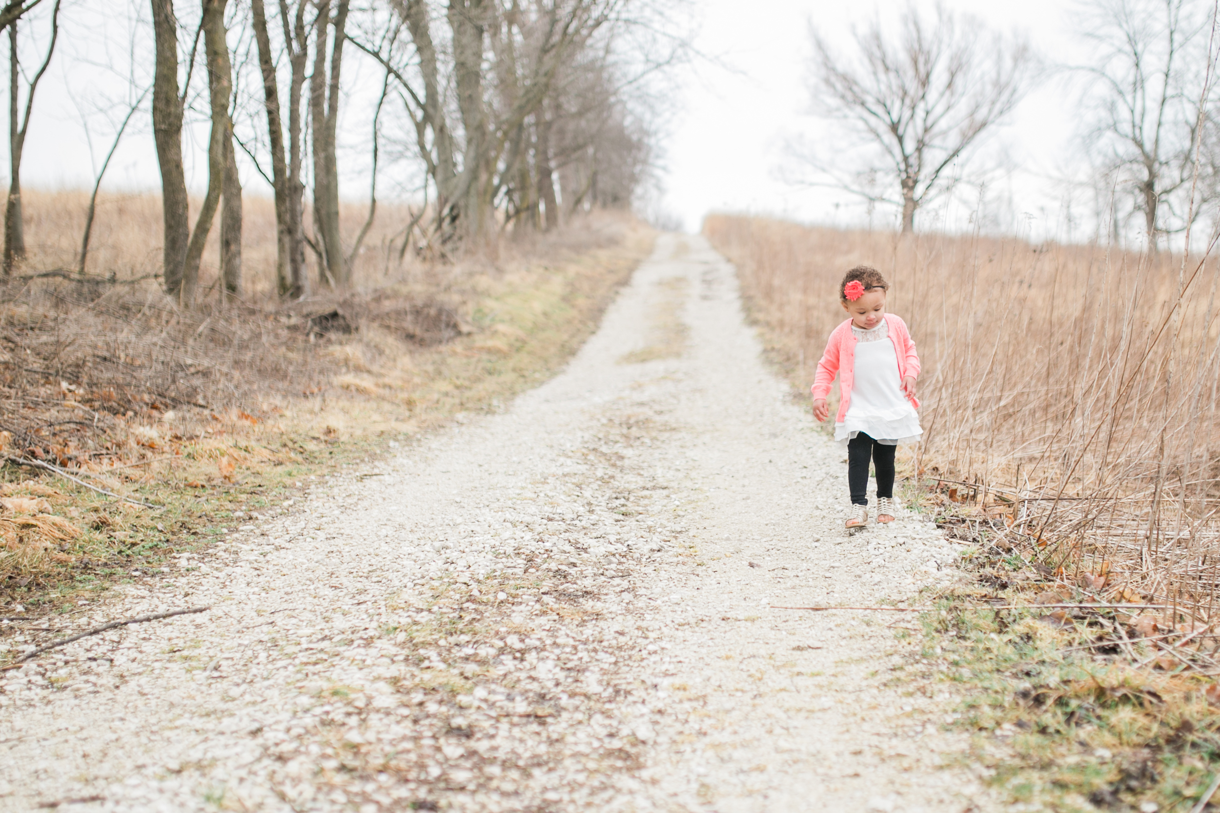 vanessa wyler waukesha family photographer