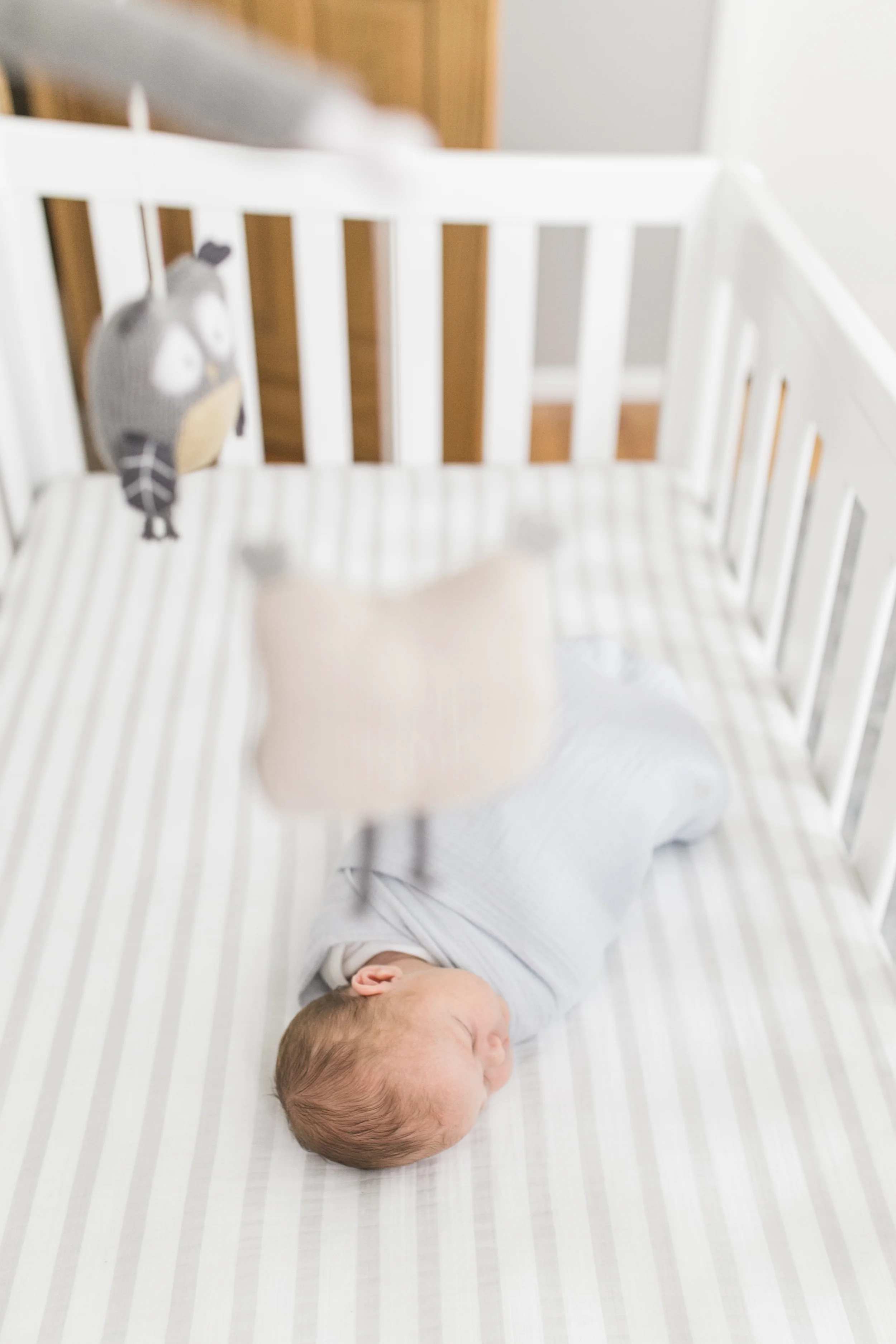 vanessa wyler newborn photography pewaukee wisconsin