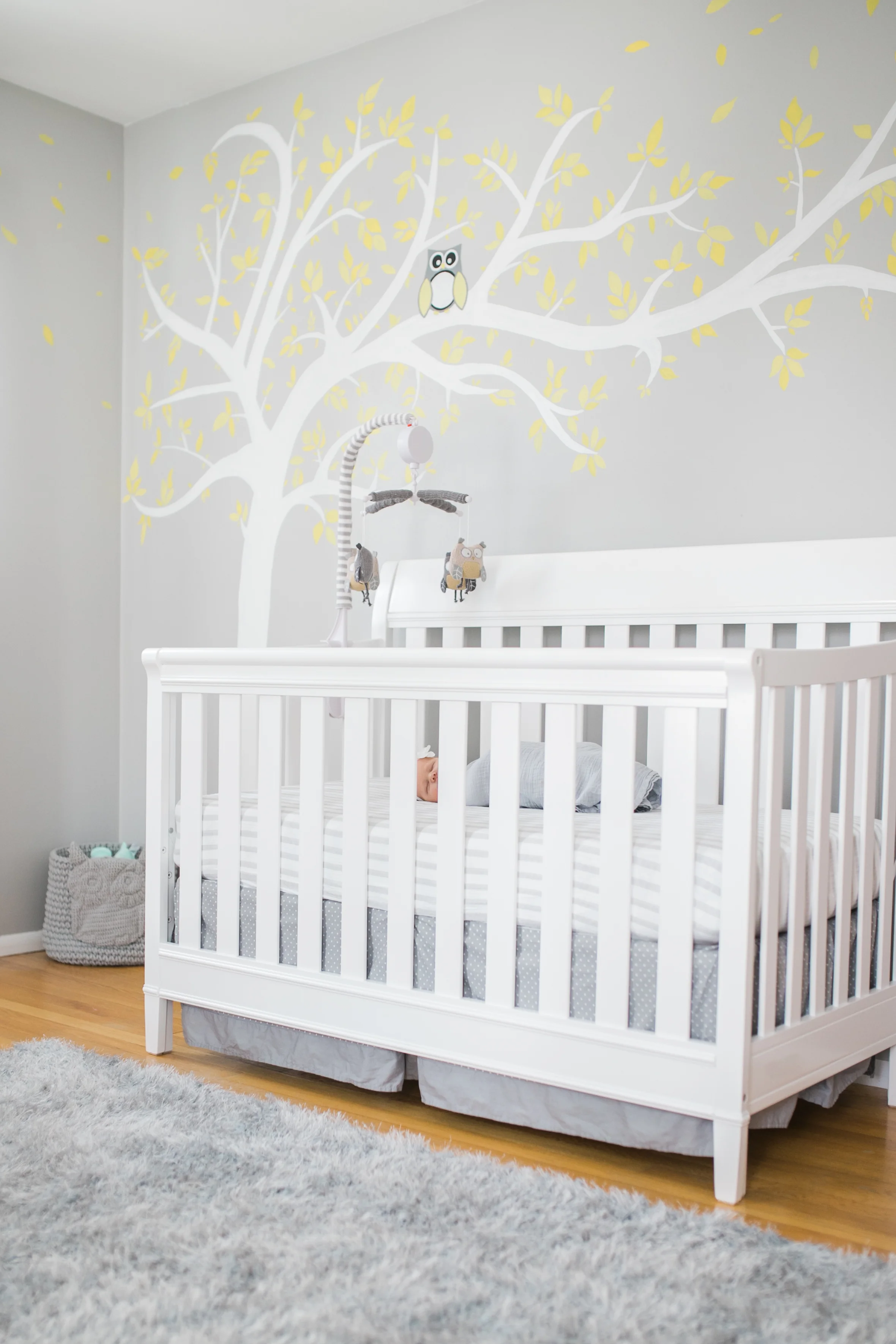 vanessa wyler newborn photography pewaukee wisconsin