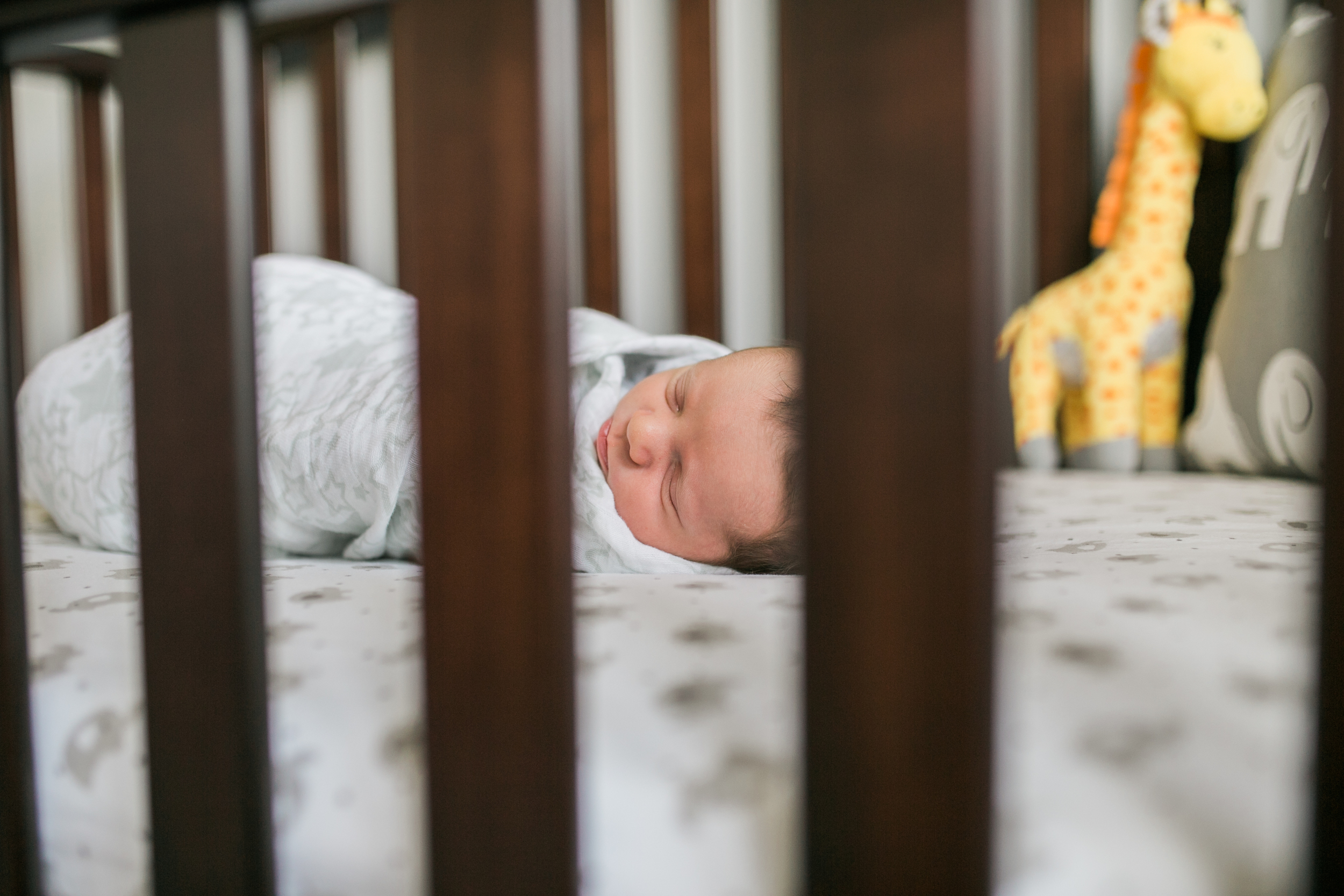 vanessa wyler pewaukee lake country newborn lifestyle photography