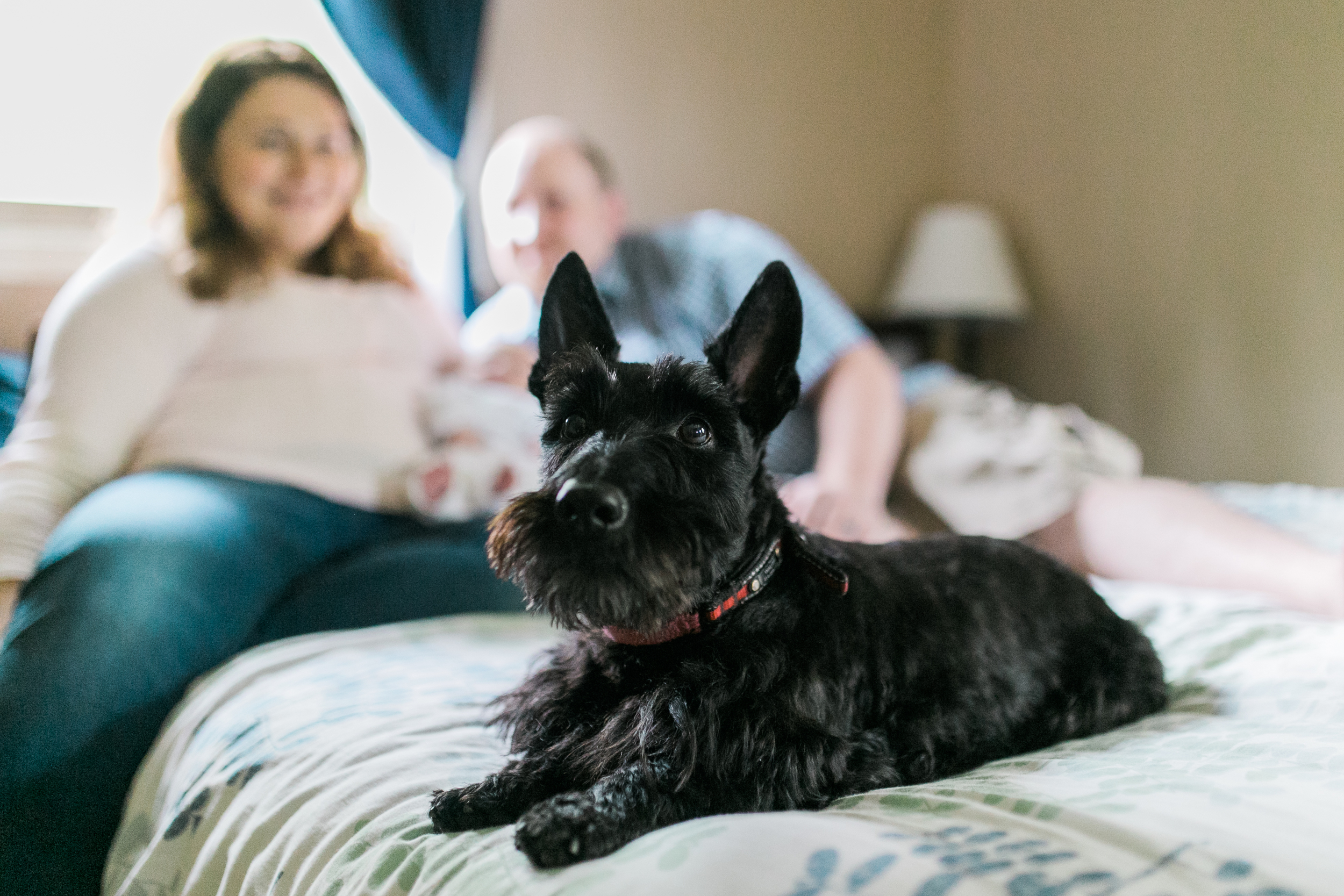 vanessa wyler germantown newborn lifestyle photographer pewaukee